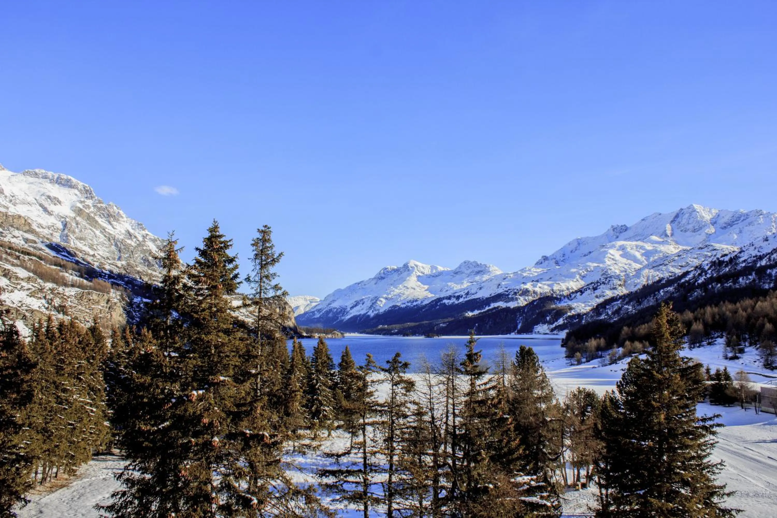 Natural landscape in Maloja Palace Residence Engadin-St Moritz CO2-Neutral