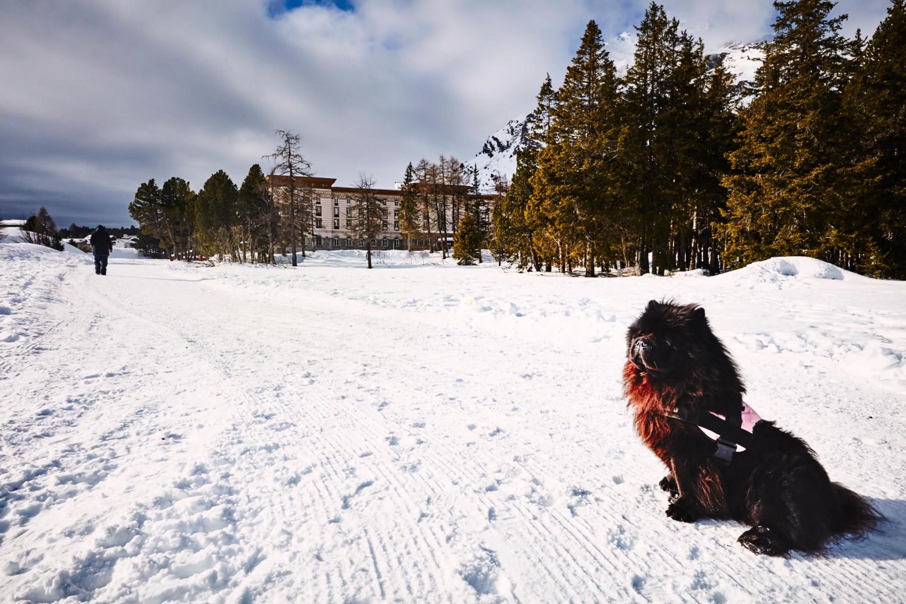 Maloja Palace Residence Engadin-St Moritz CO2-Neutral
