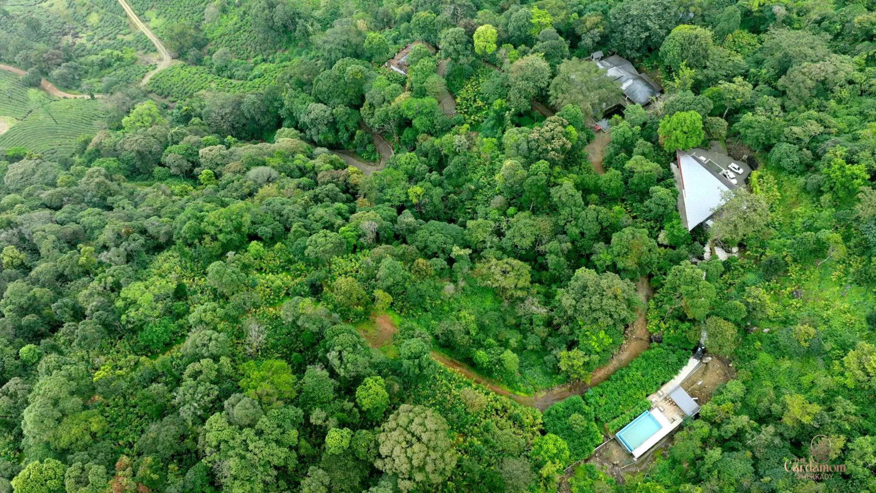 Natural landscape in Ela Luxury Stay