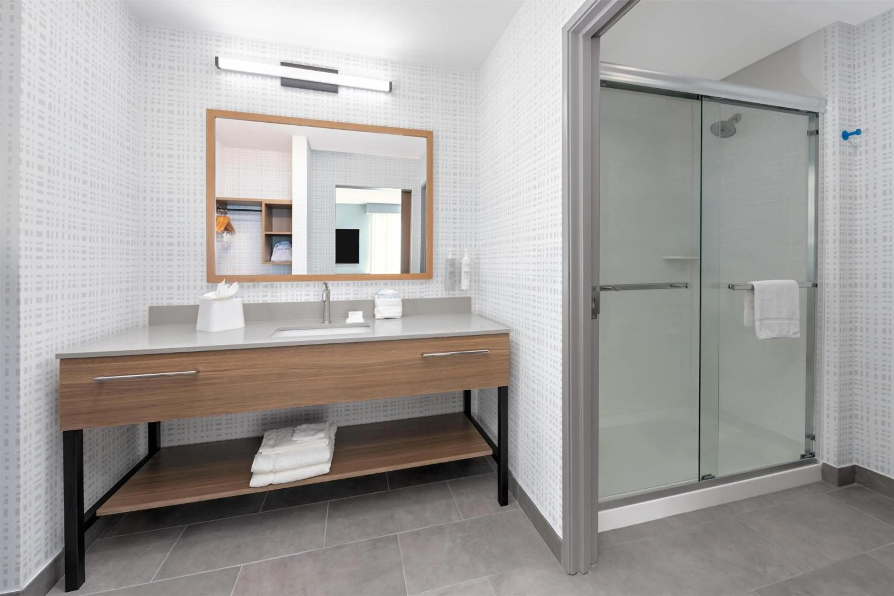 Bathroom in Hampton Inn & Suites by Hilton Little Rock Airport