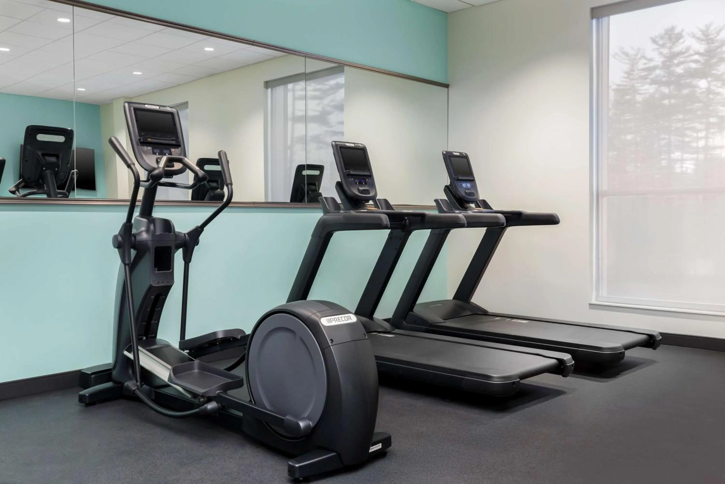 Fitness centre/facilities in Tru By Hilton Bracebridge, On