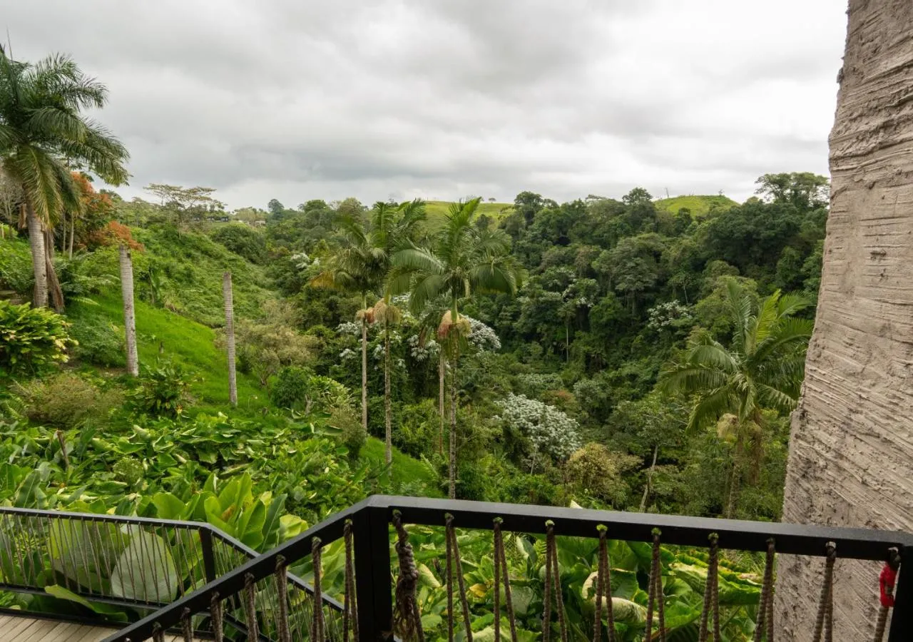 View (from property/room) in Hotel Casa Tuirak