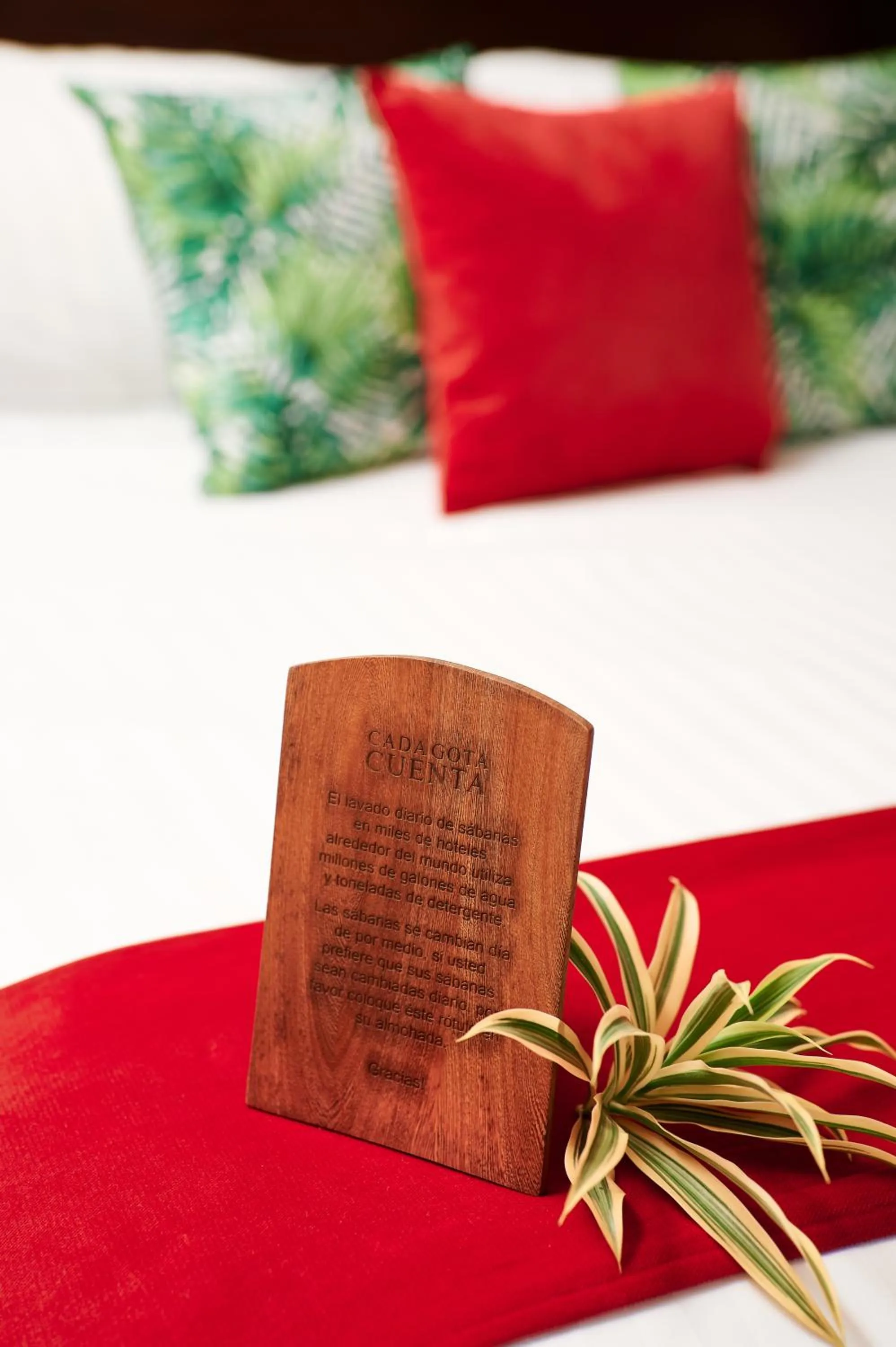 Bed in Hotel Plaza Colon - Granada Nicaragua