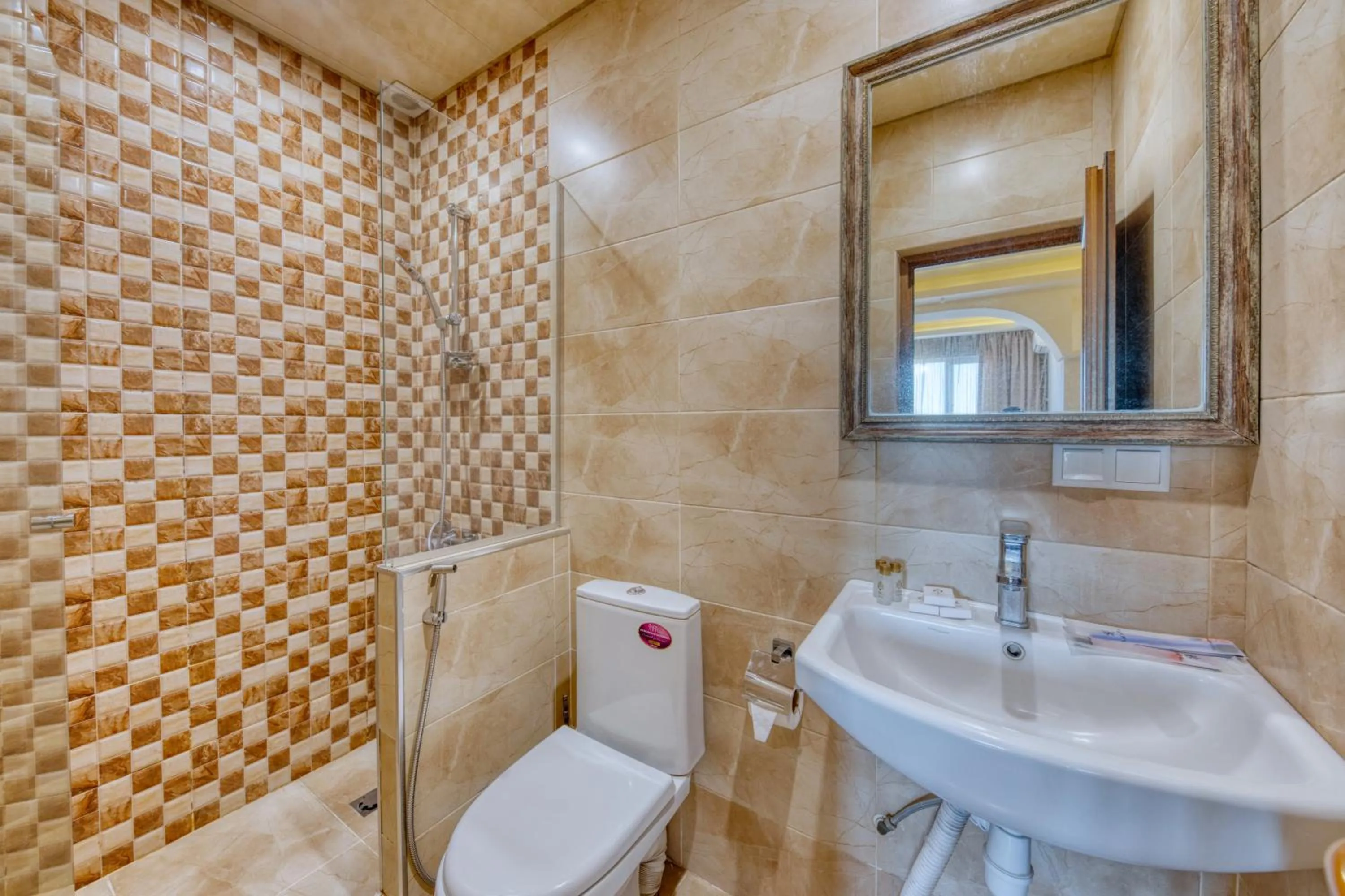 Shower in Aleppo Hotel