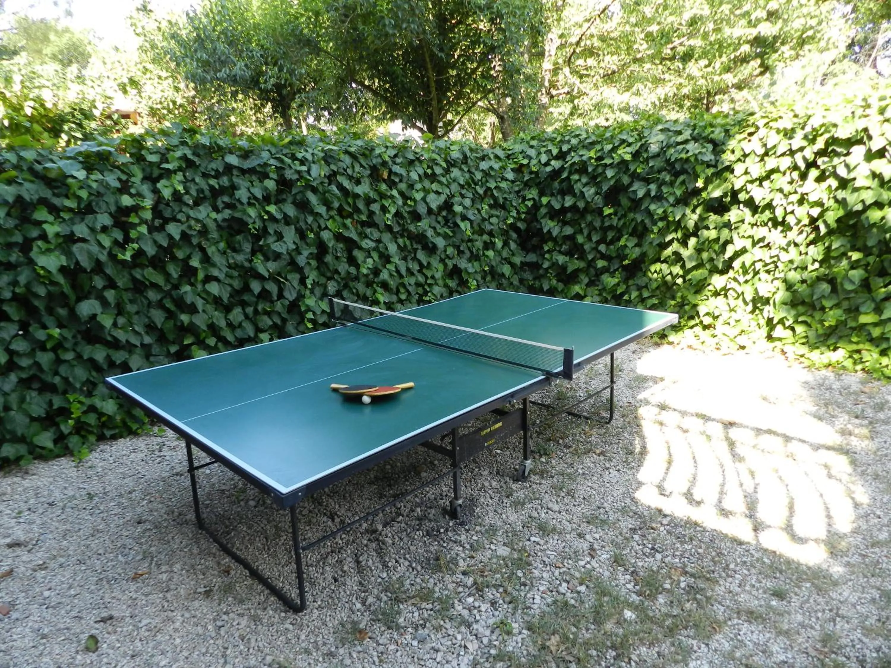 Table tennis in B&B Villa Maria