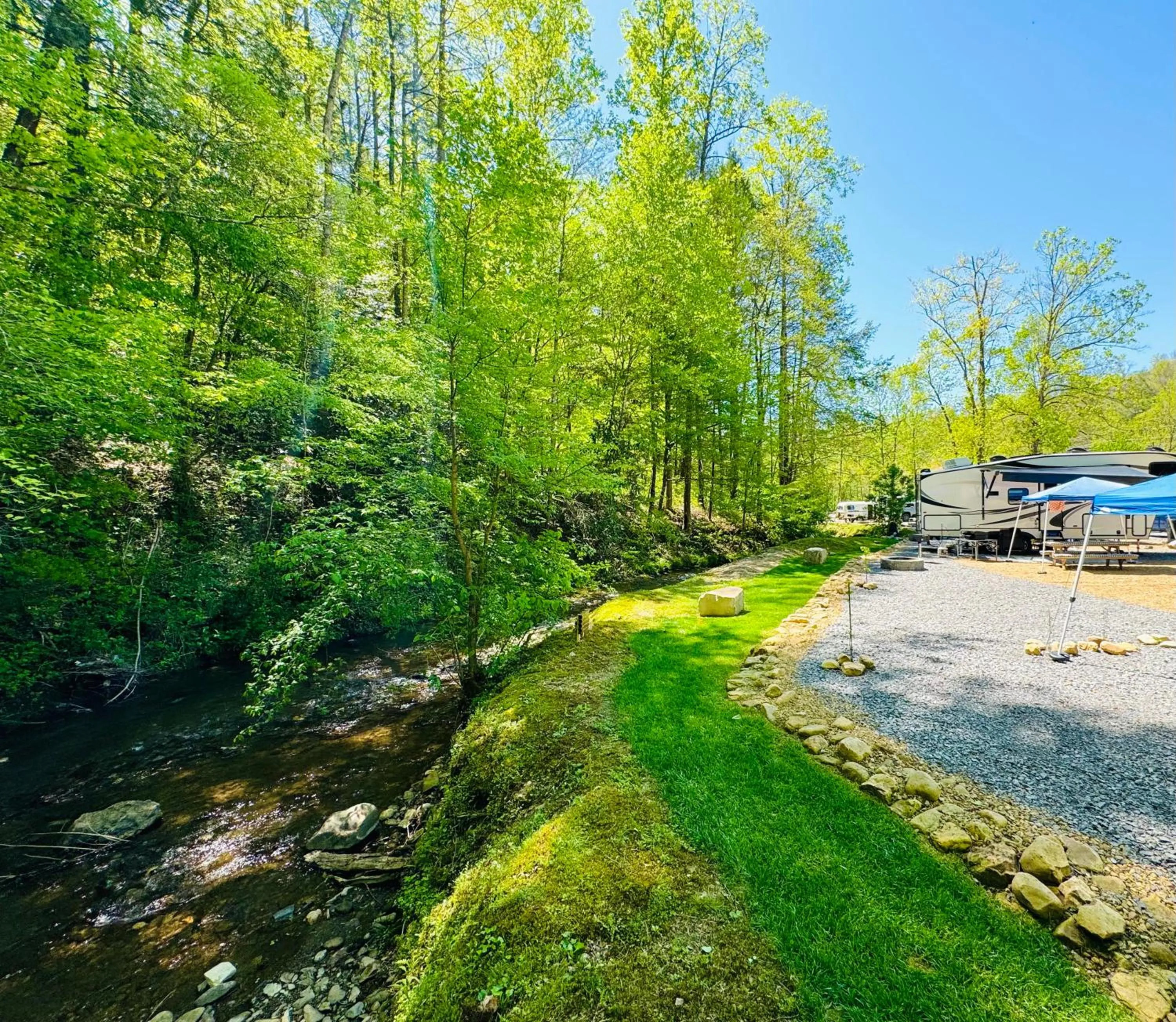 Natural landscape in Dudley Creek RV Resort