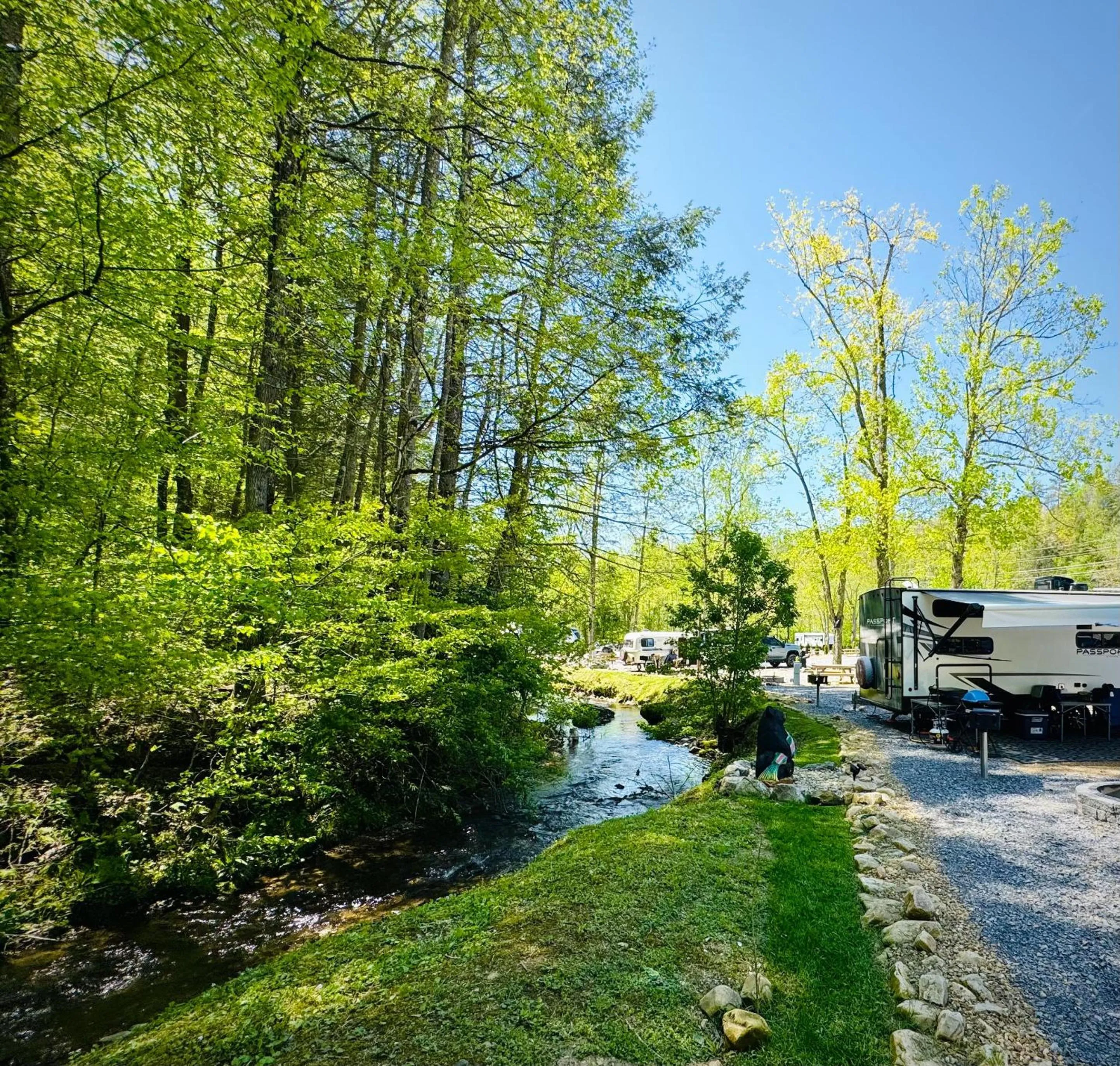 Natural landscape in Dudley Creek RV Resort
