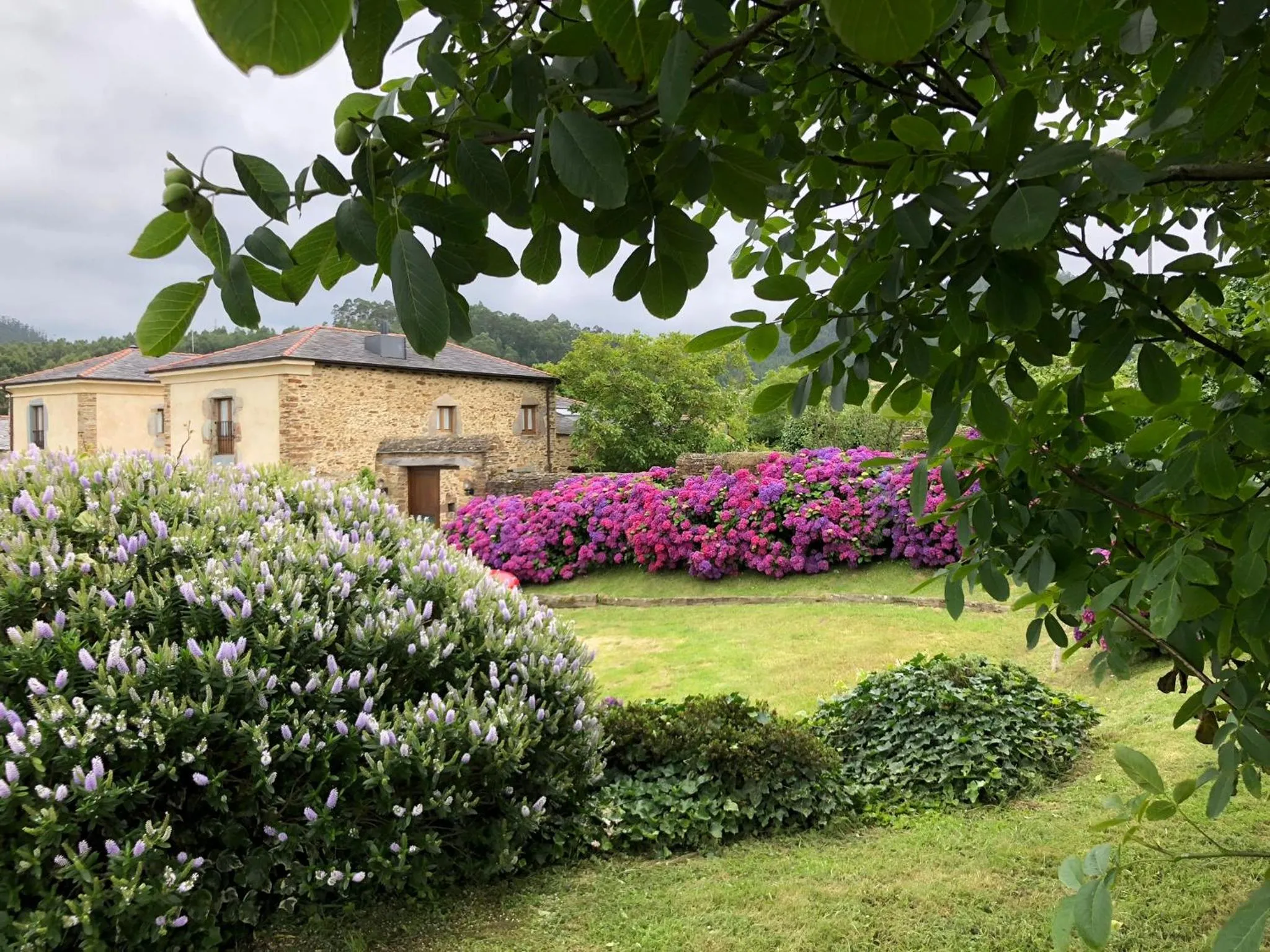 Property building in Hotel Rural Casona Trabadelo