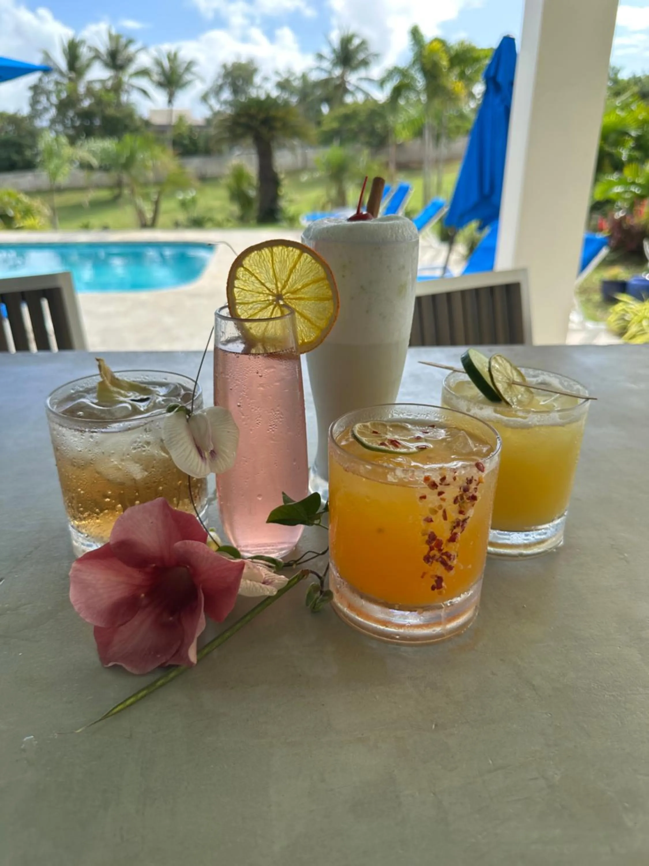 Drinks in Club Vieques - Adults Only Resort - LGBT Friendly