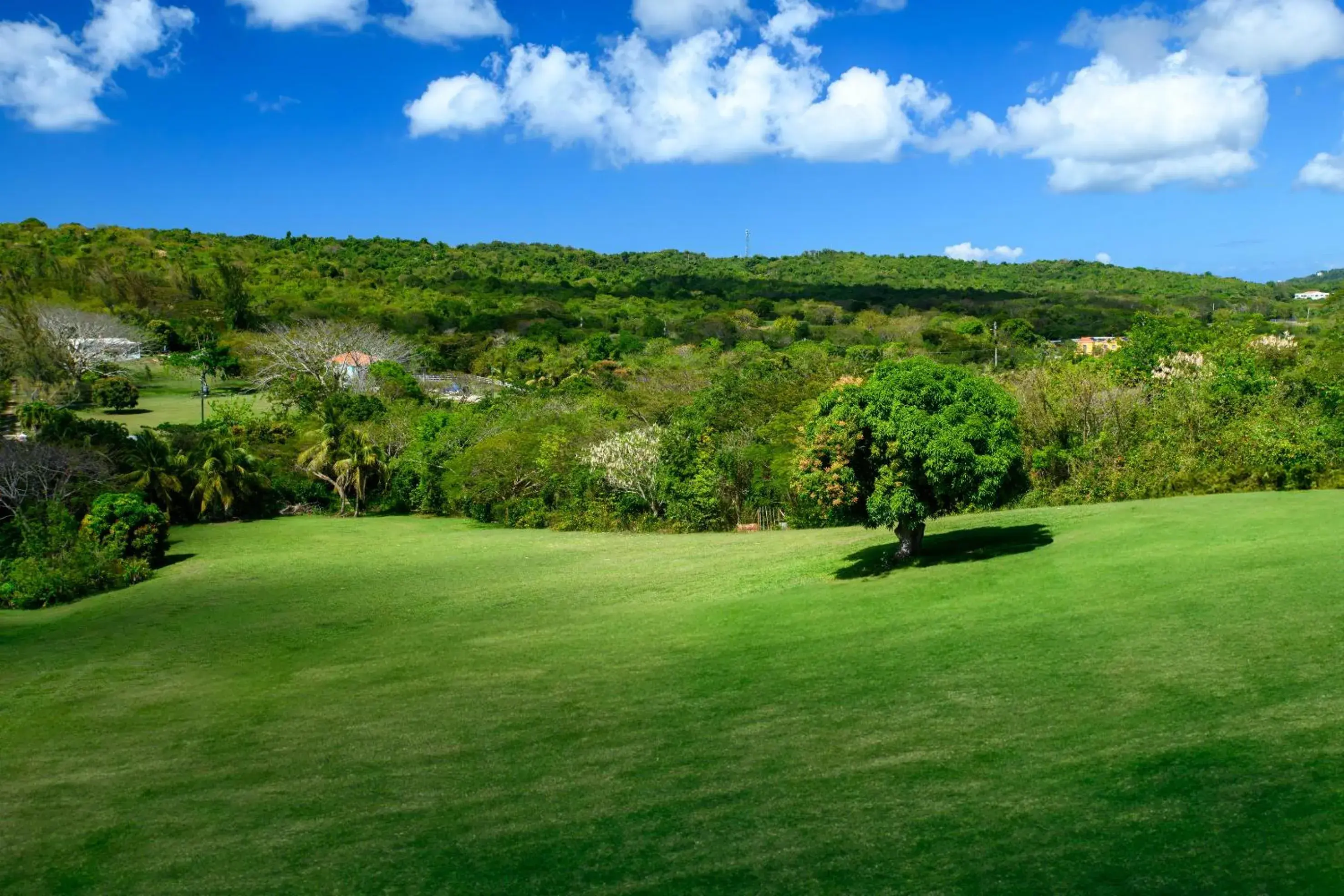King Room with Mountain View in Club Vieques - Adults Only Resort - LGBT Friendly King Room with Mountain View in Club Vieques - Adults Only Resort - LGBT Friendly