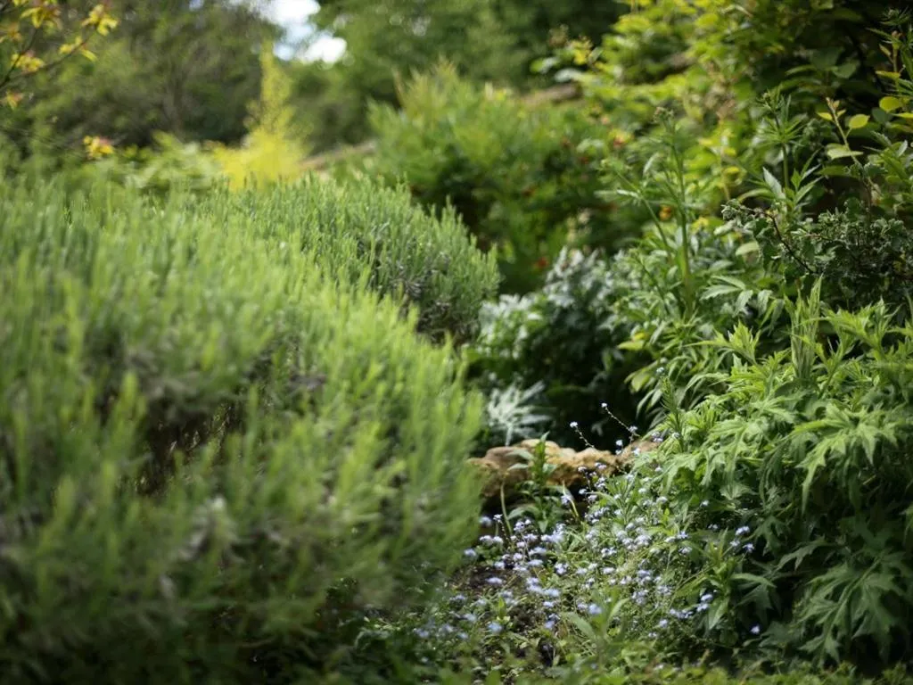 Other in Percy Place Bath