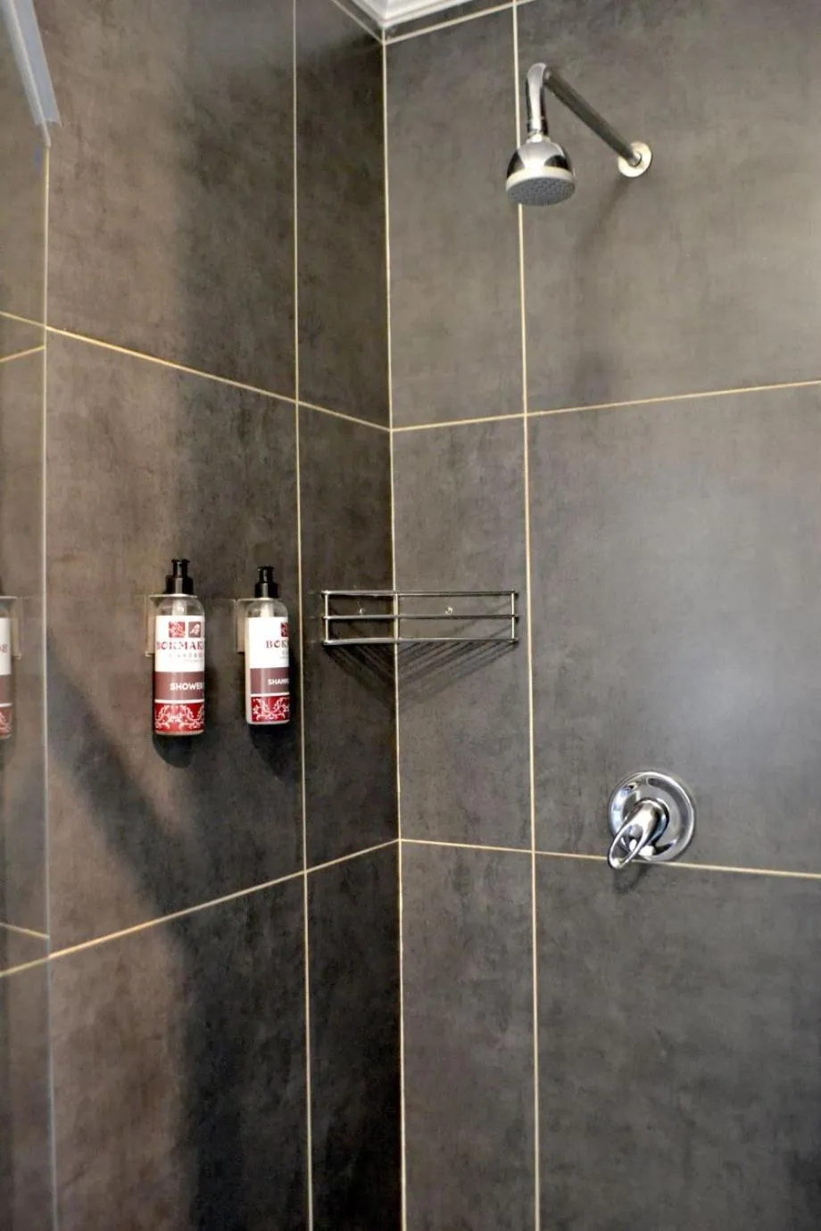 Shower in Bokmakierie Gastehuis Emalahleni Pty Ltd