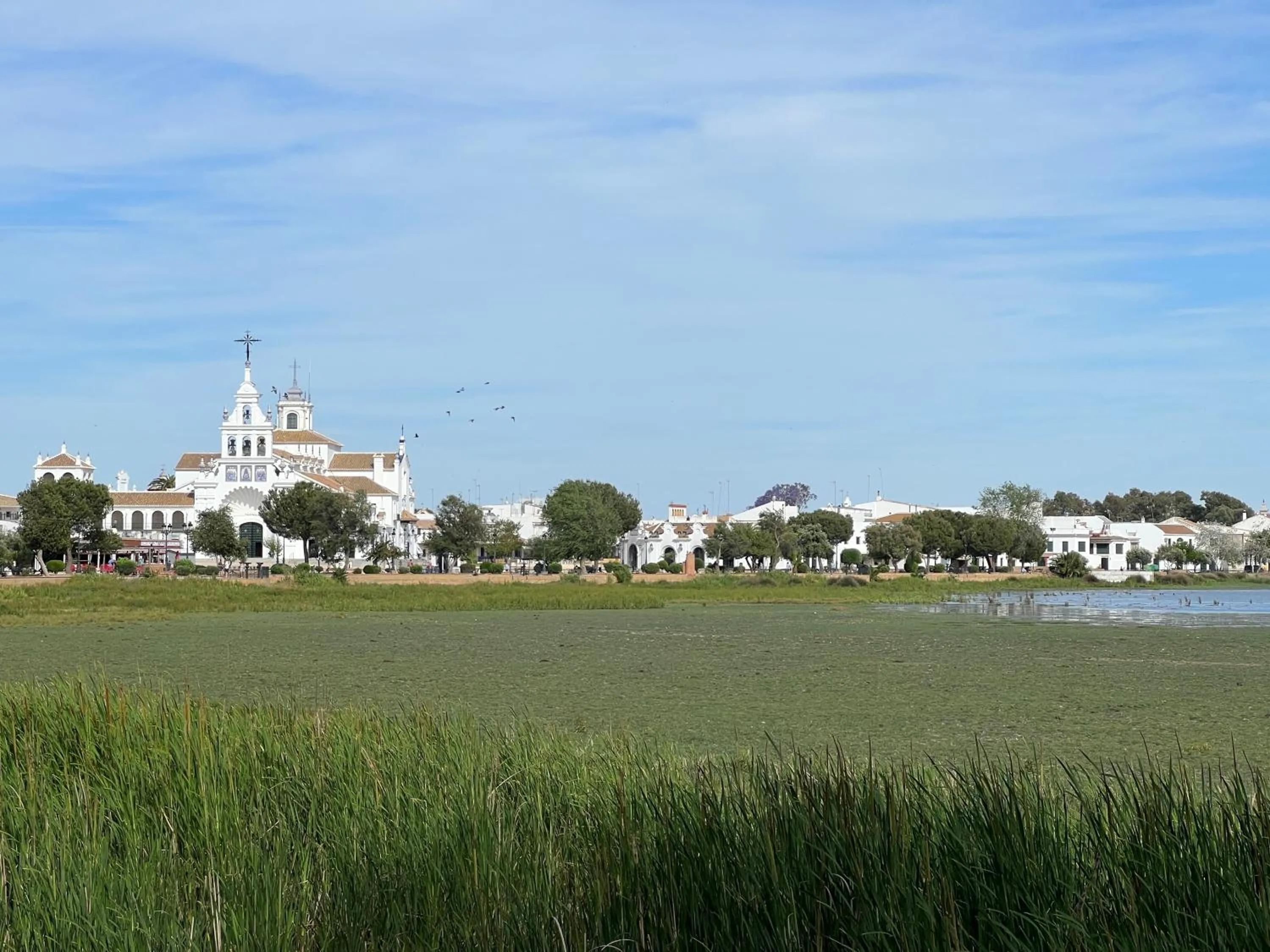 Off site in ON Acebuchal 23