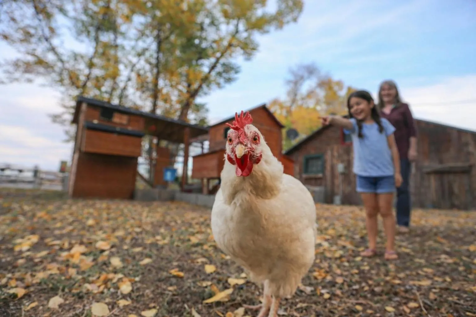 View (from property/room) in Chinook Winds Lodge