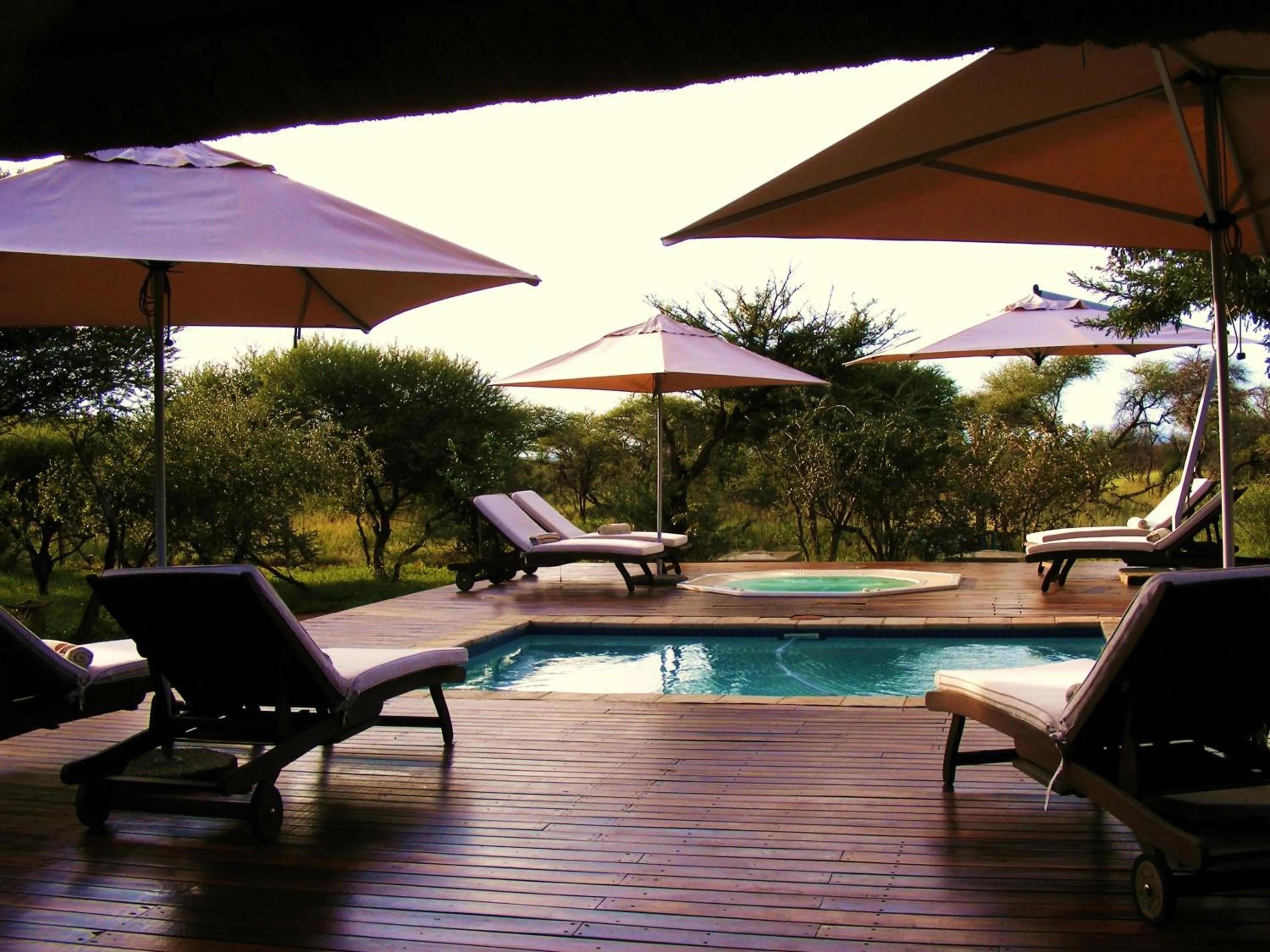 Buffalo Thorn Lodge