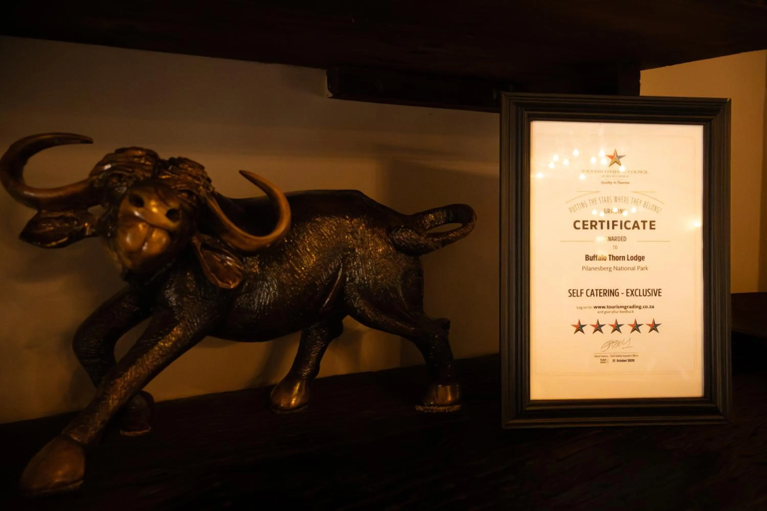 Buffalo Thorn Lodge