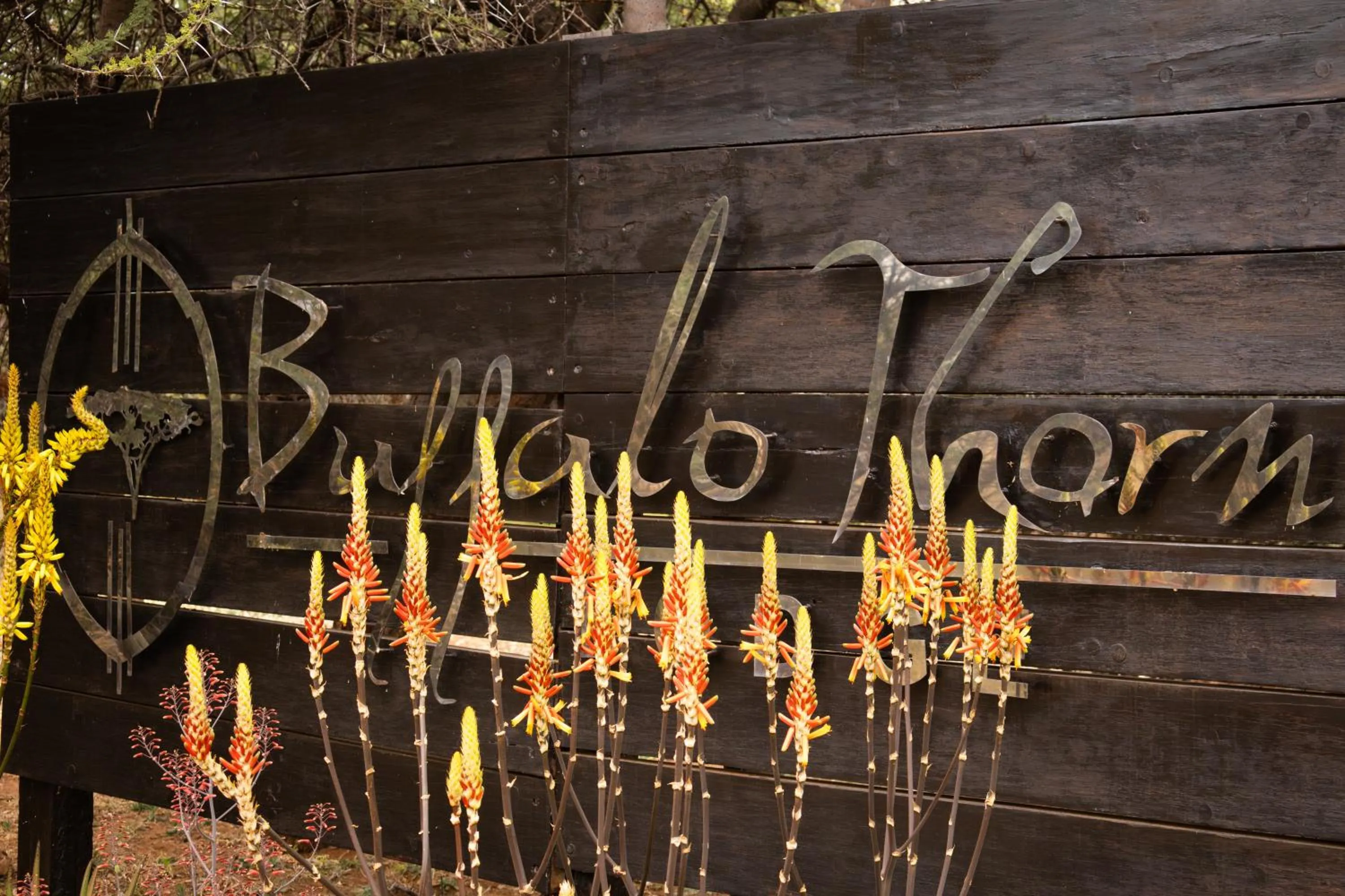 Buffalo Thorn Lodge
