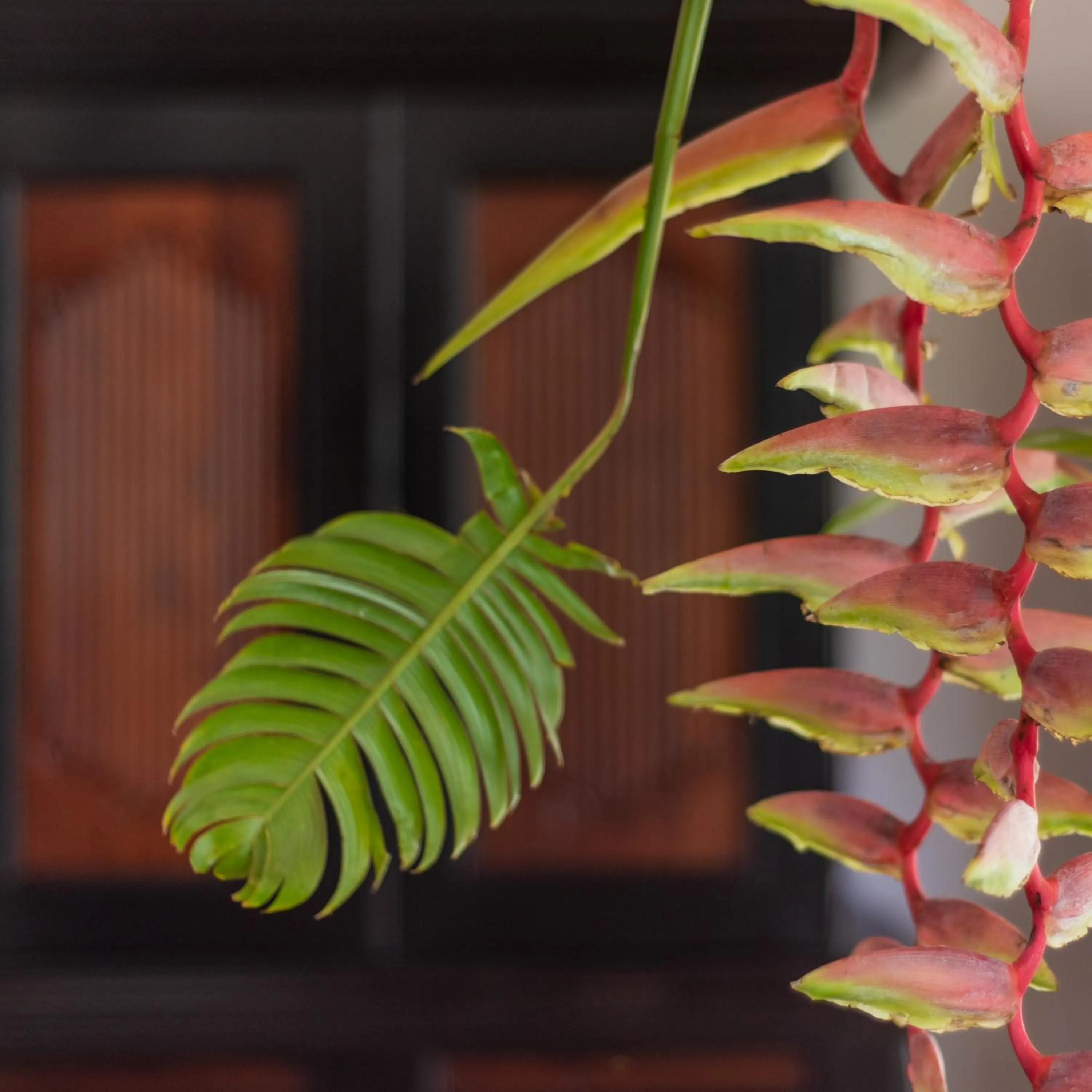 Decorative detail in Maya Tangalle