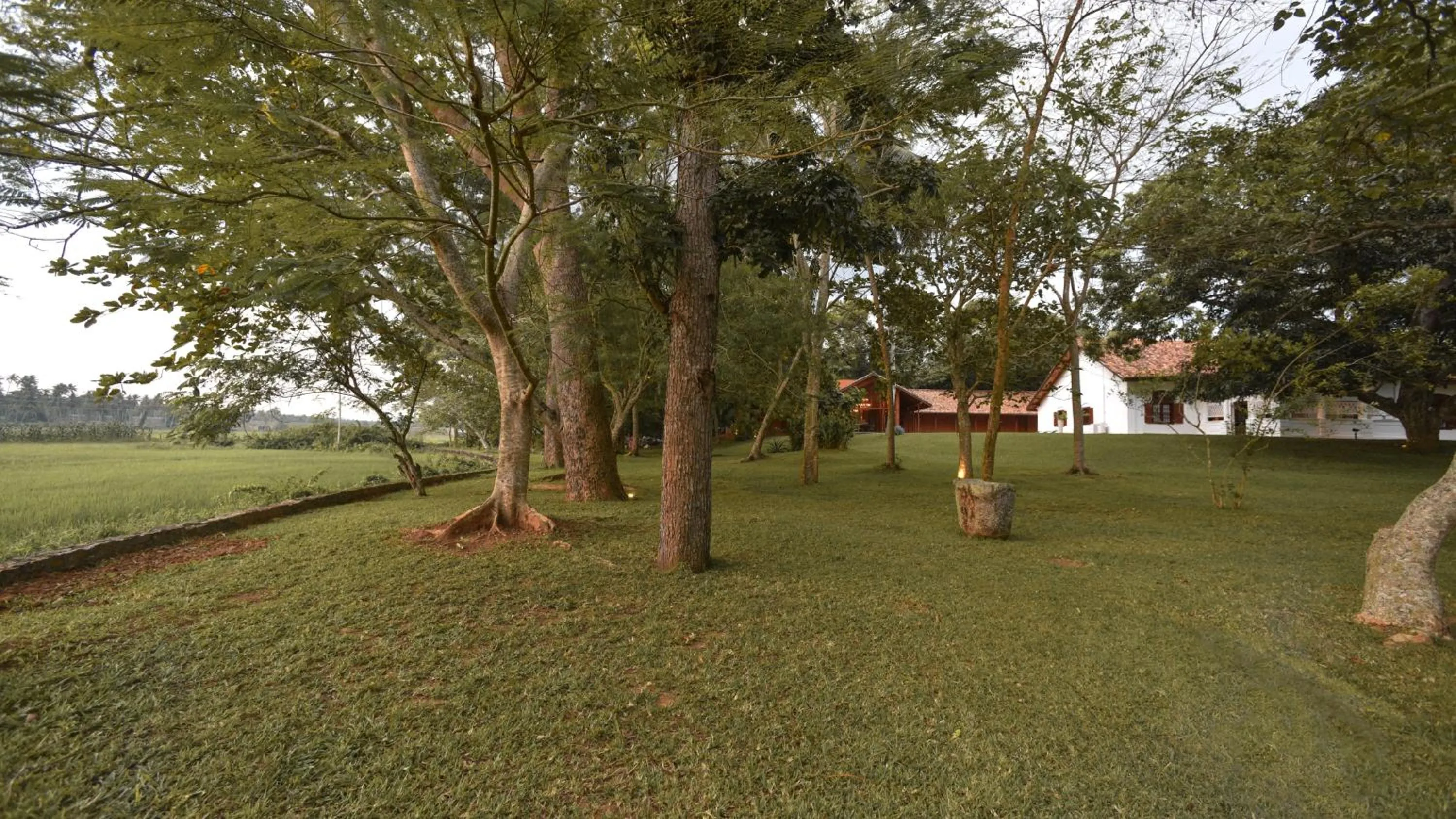 Natural landscape in Maya Tangalle
