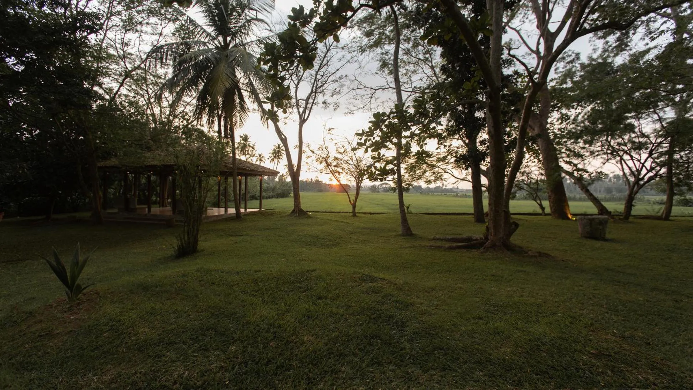 View (from property/room) in Maya Tangalle