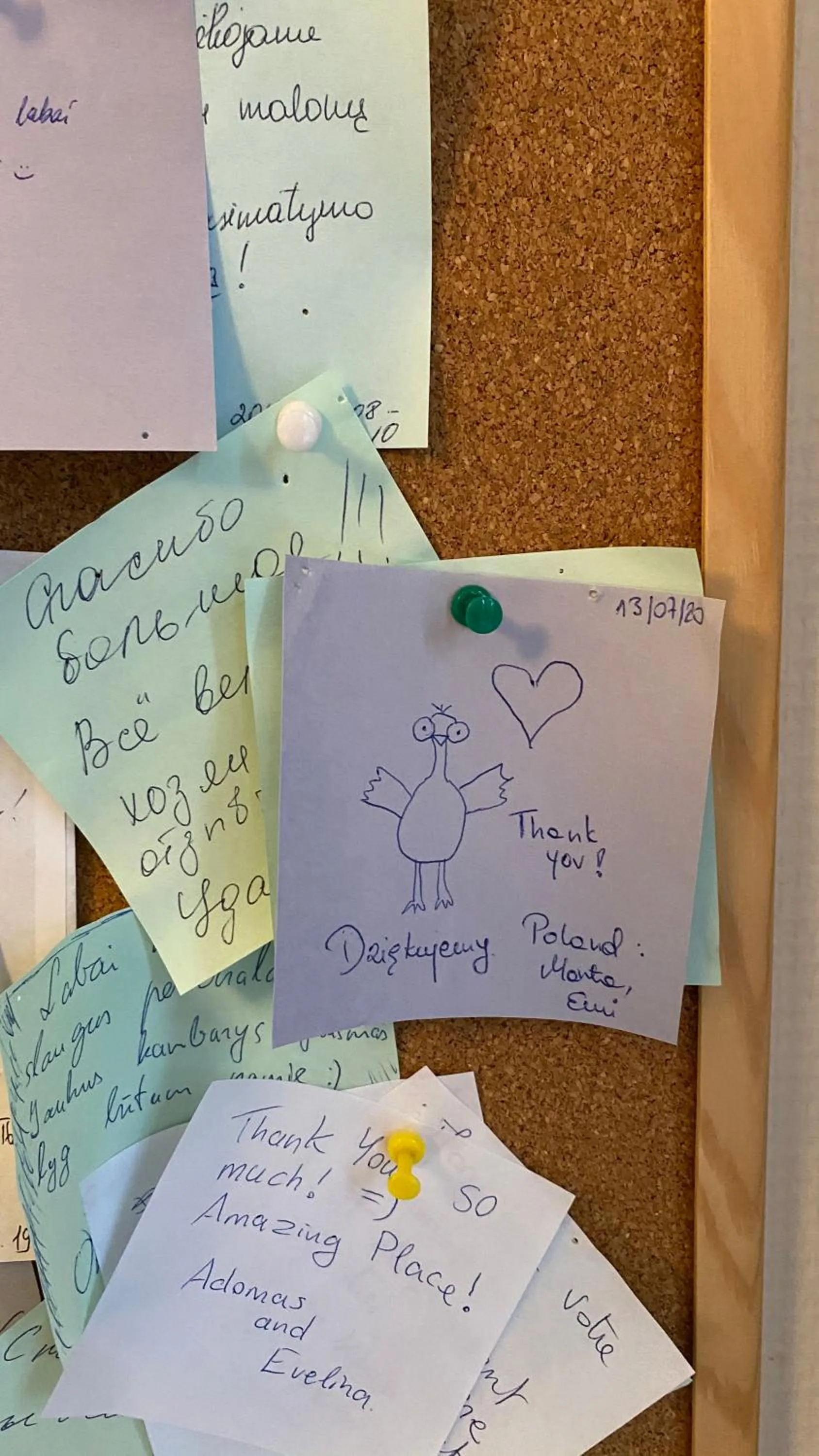 Certificate/Award in Moja Accommodation