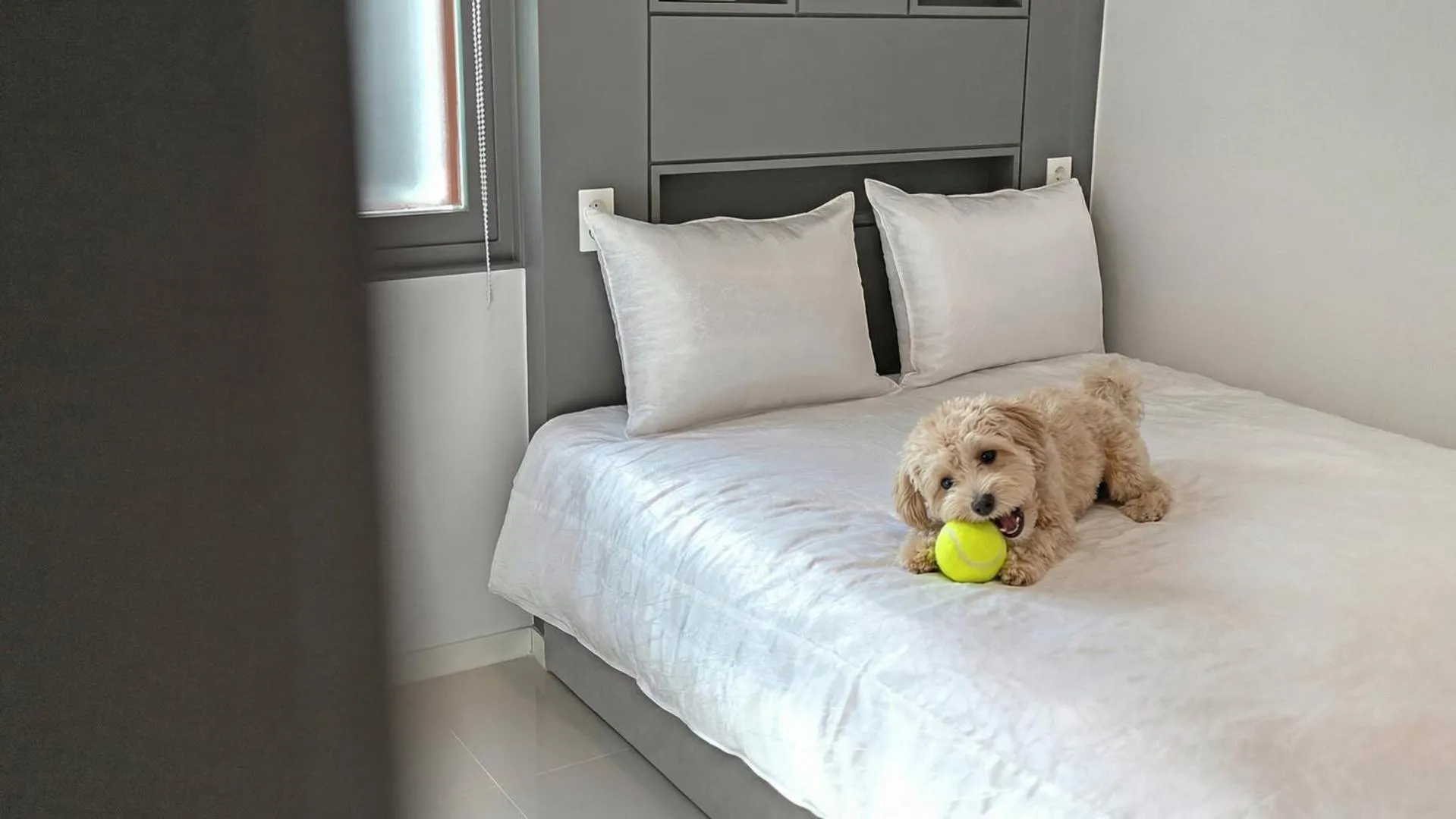 Property building, Bed in Gangneung Badauibyeol Pension