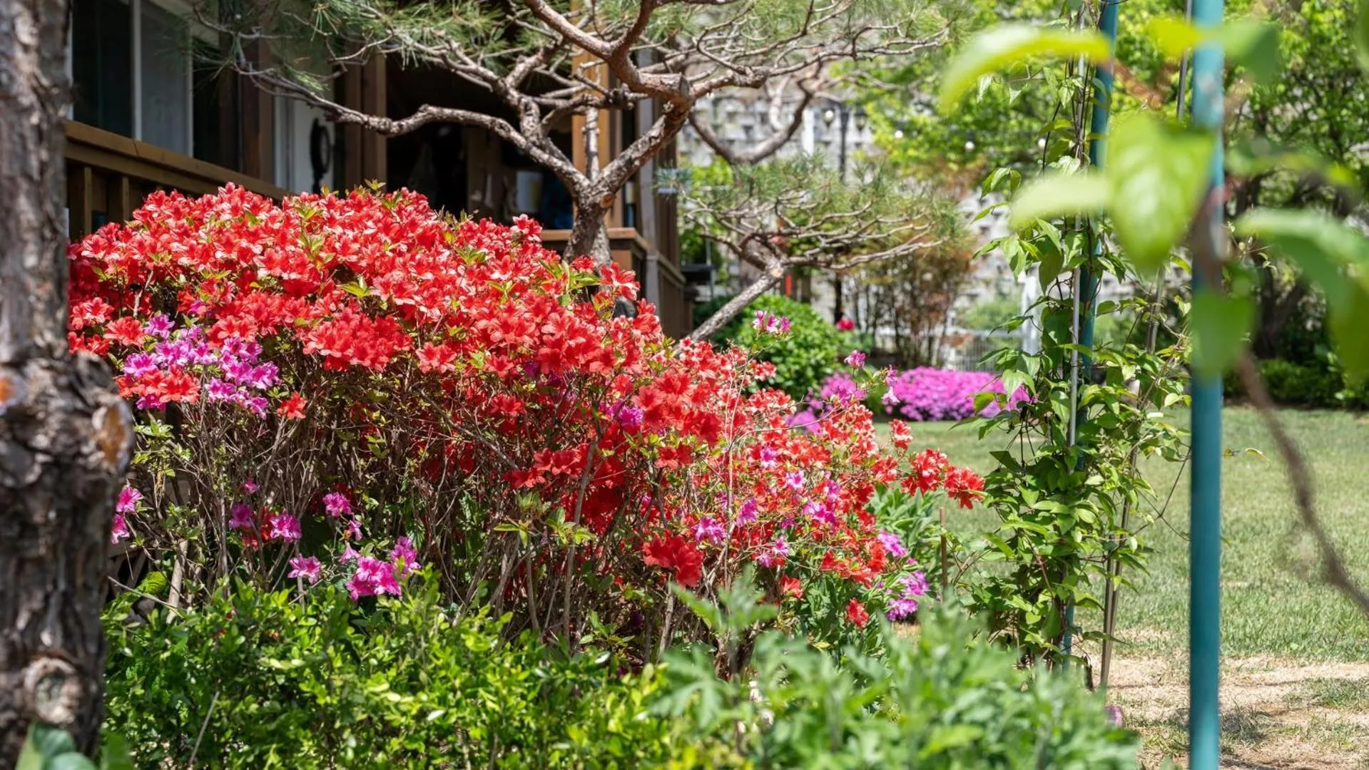 Property building in Gapyeong Art Pension