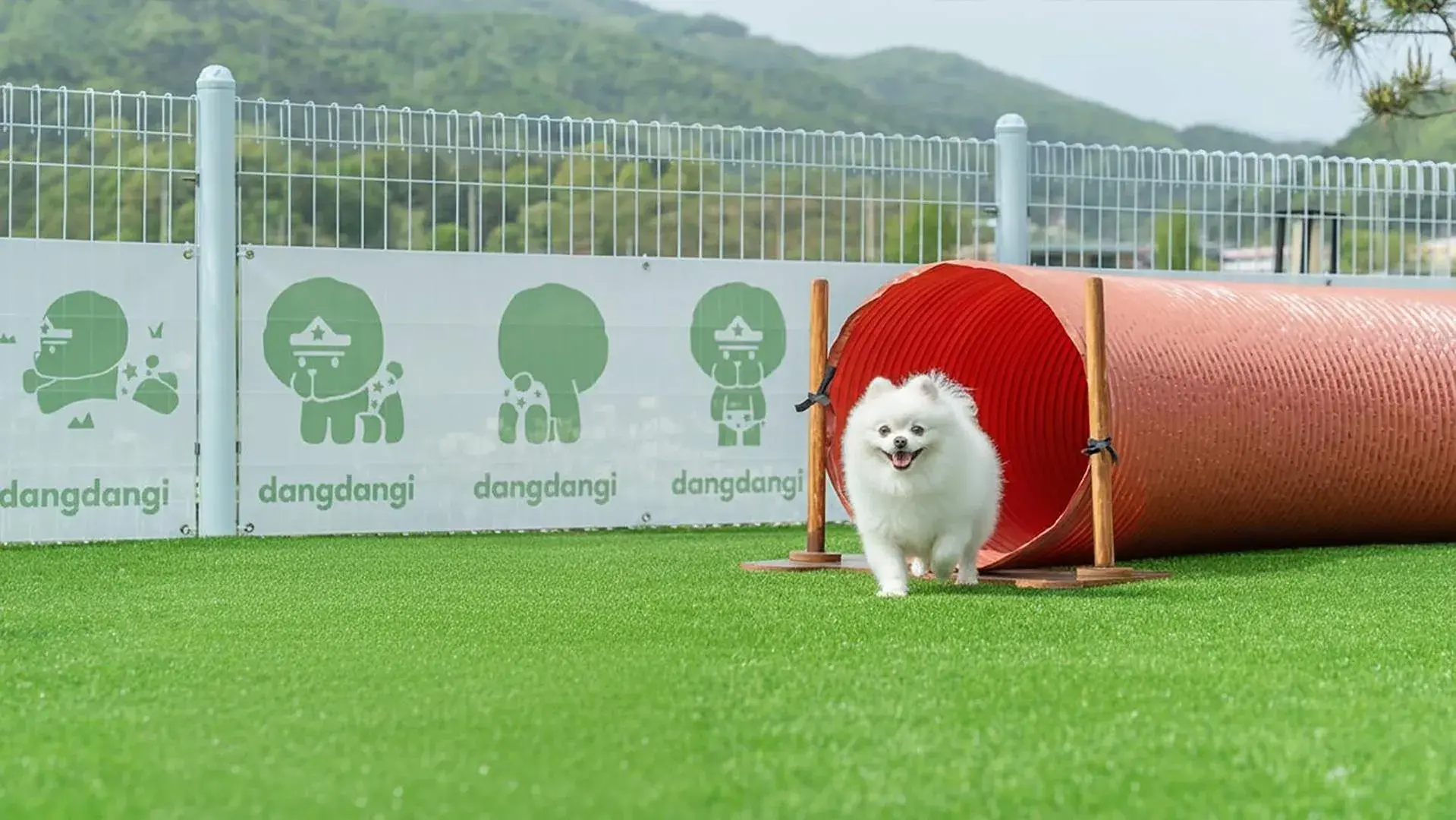 Property building in Gapyeong Dangdangi Pet Poolvilla Blue Property building in Gapyeong Dangdangi Pet Poolvilla Blue