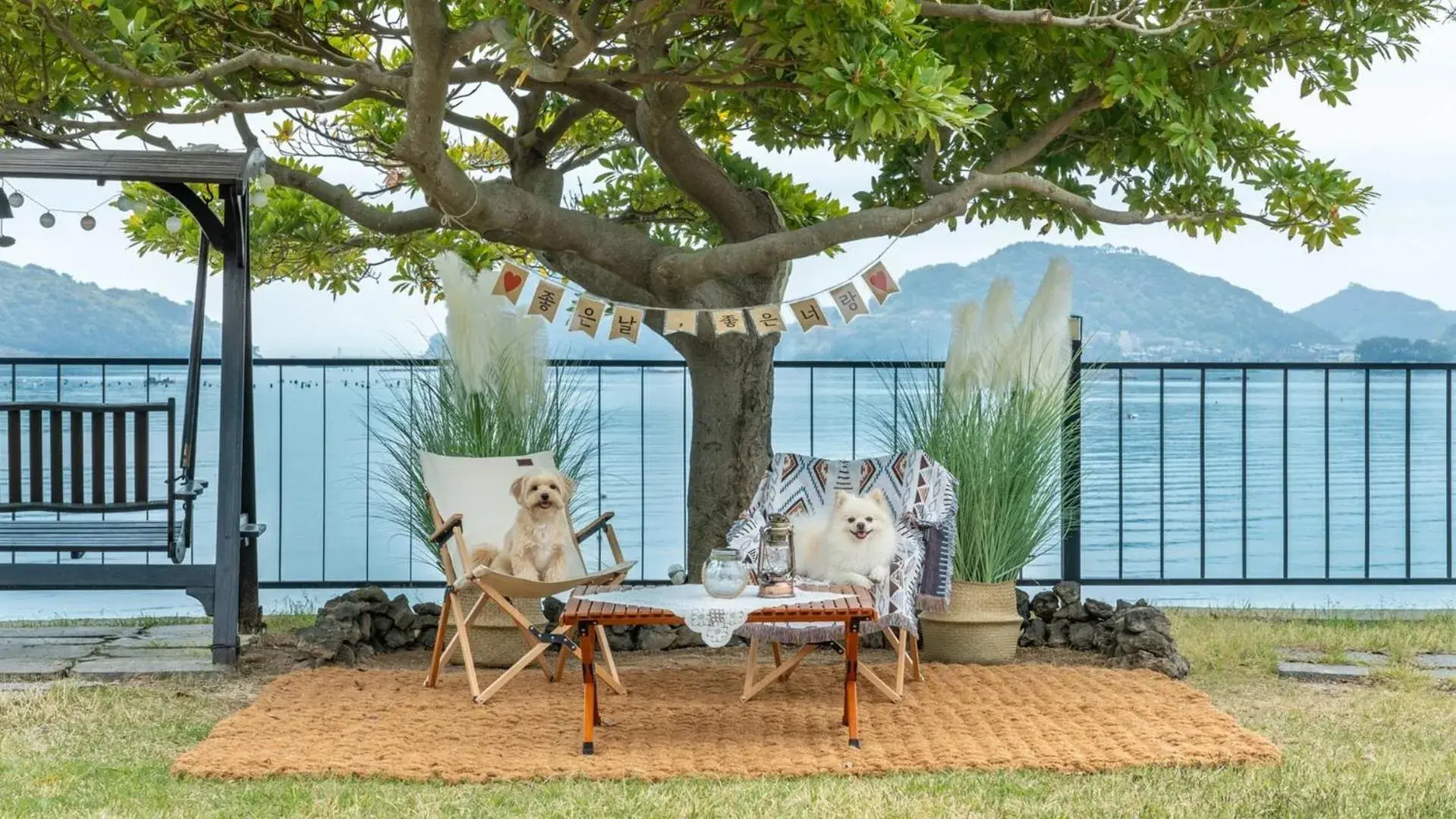 Property building in namhae sea stay N pet pension Property building in namhae sea stay N pet pension