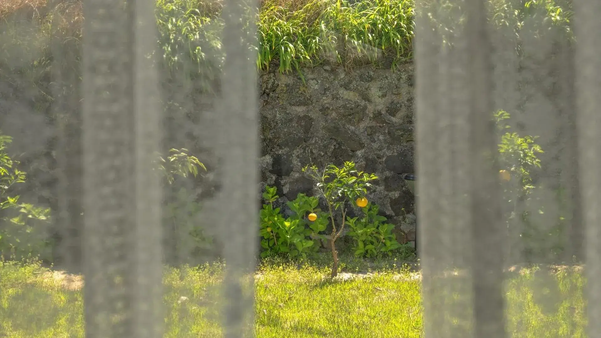 Jeju Pyeongdae 41street Pension Jeju Pyeongdae 41street Pension