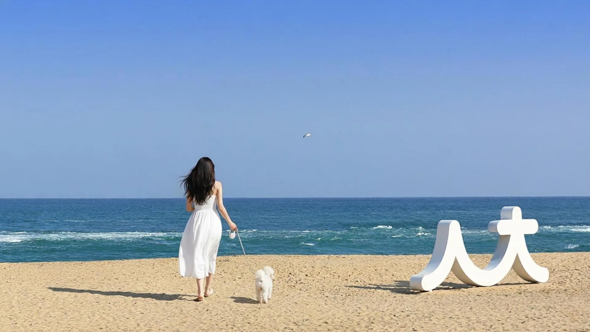 Property building in Sokcho World Pet-Friendly (Paid) Pension