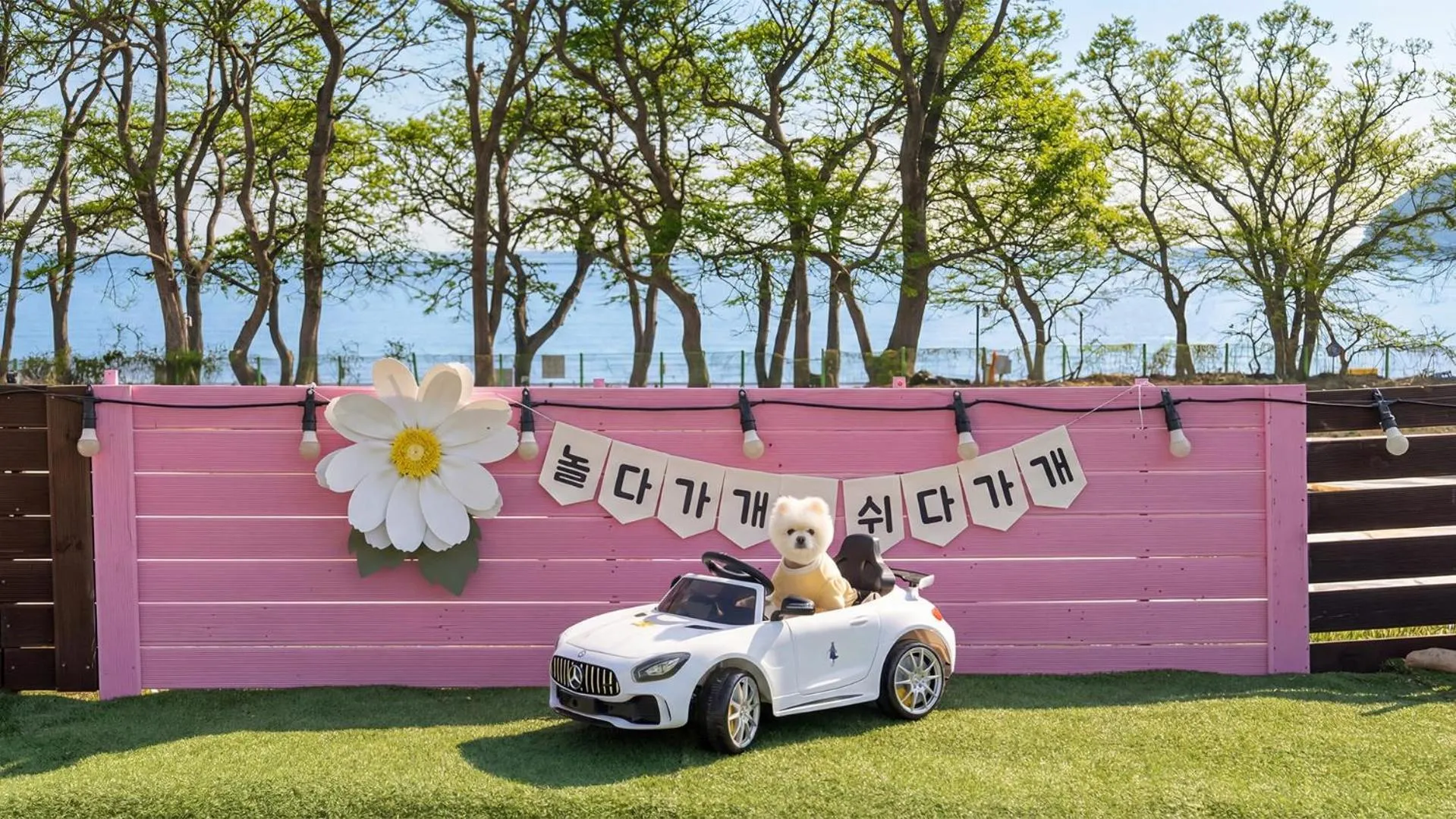 Property building in Namhae Dangdangi Dog Pension Blue