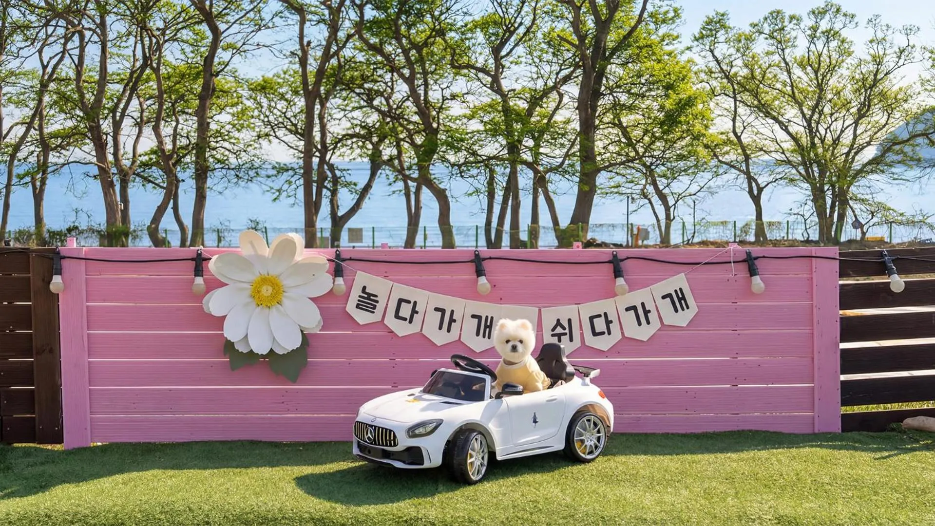 Property building in Namhae Dangdangi Dog Pension Blue