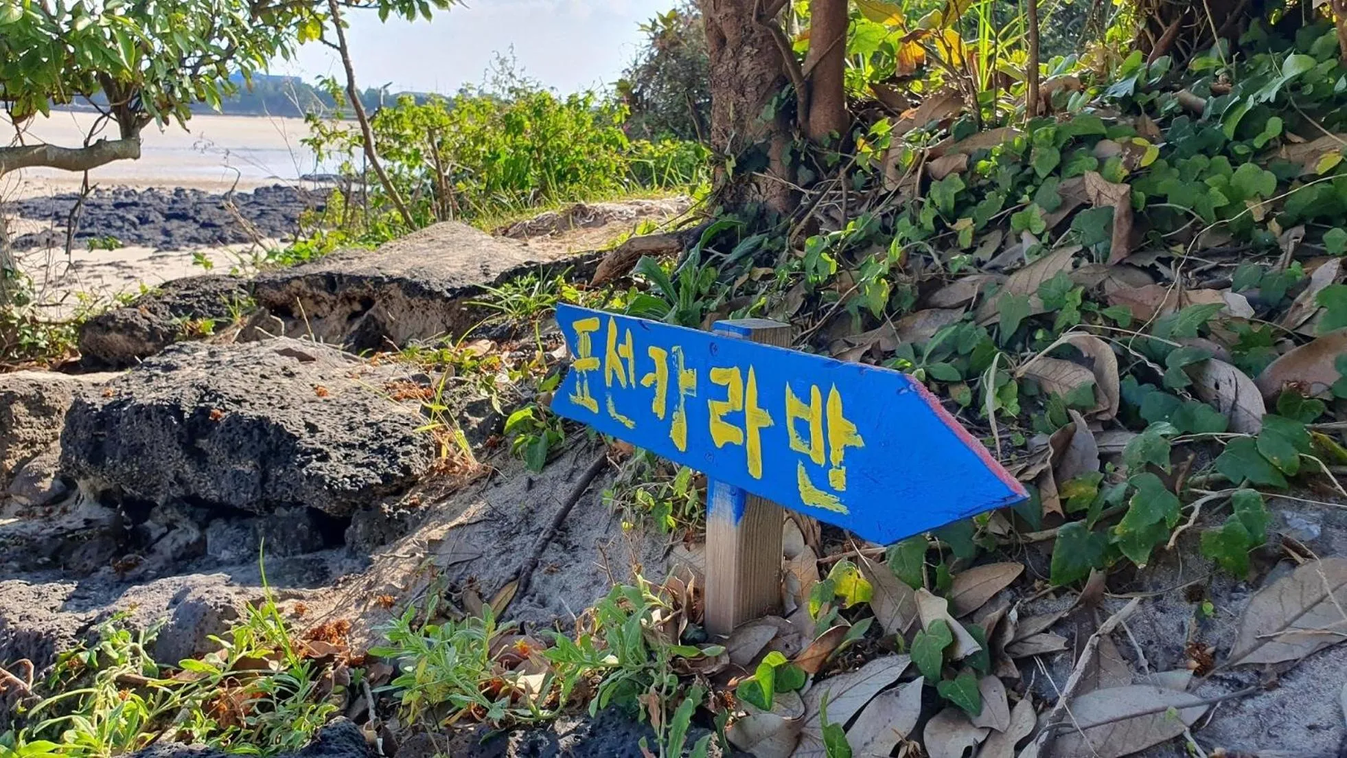 Property building in Seogwipo PyoseonCaravan
