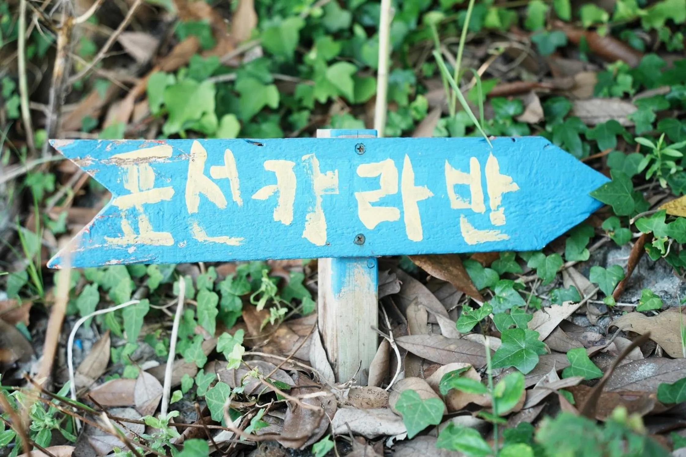 Property building in Seogwipo PyoseonCaravan
