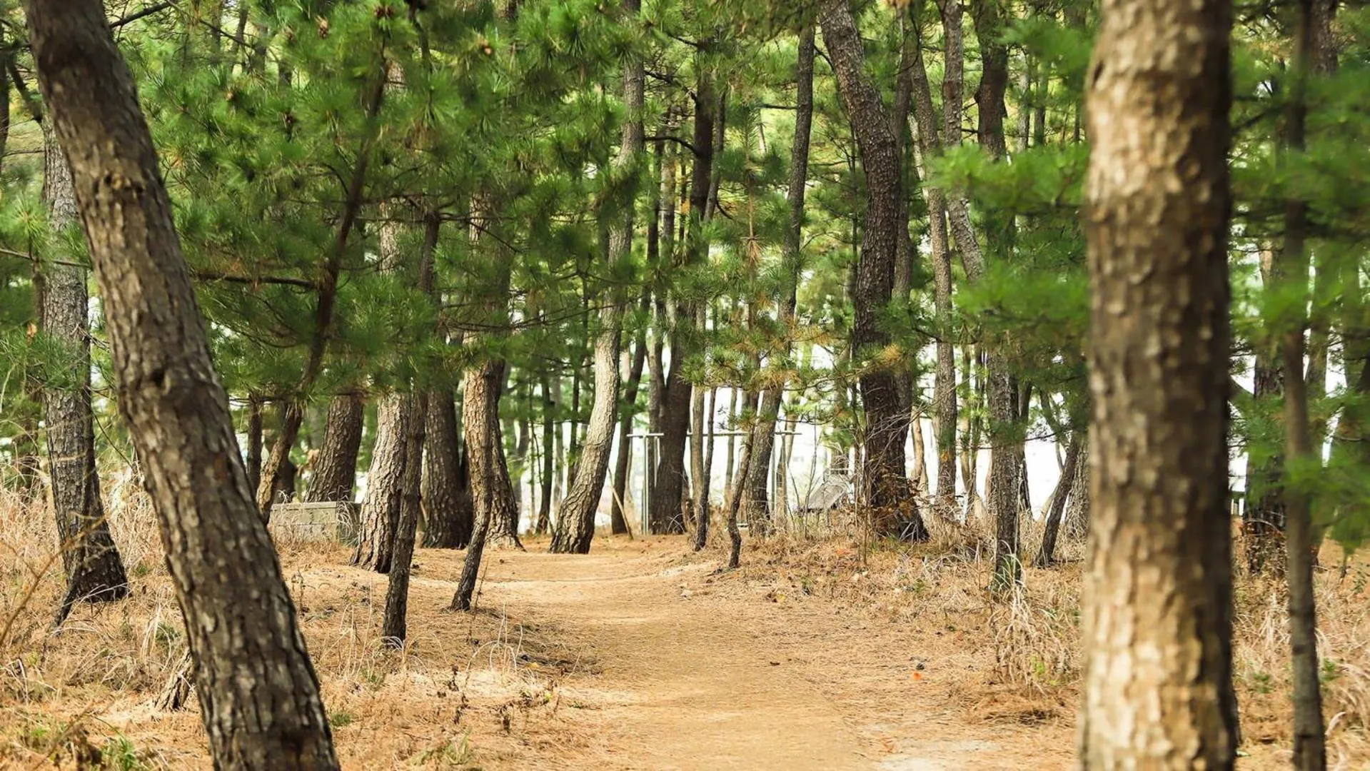 Property building in Sokcho Harmony Pension