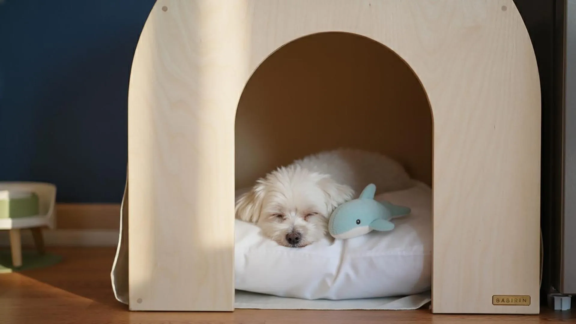 Property building in Gapyeong Ddobagi Pet & Spa Glamping