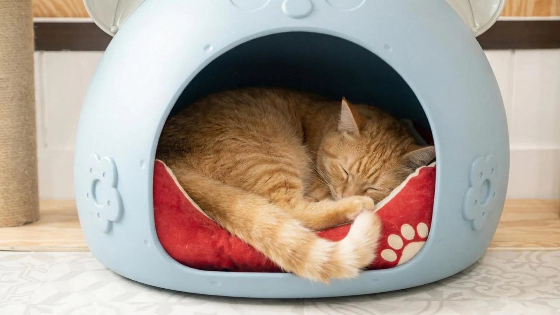 Property building in Gapyeong Dongban84 Glamping&Pool villa