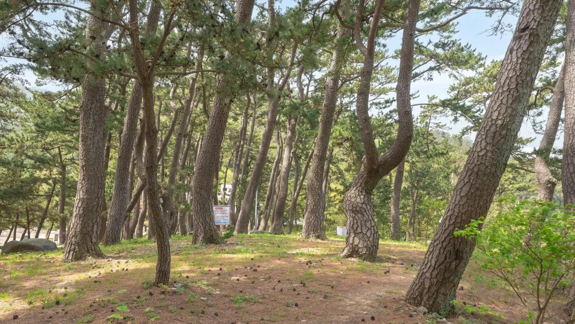 Property building in Yeosu Bebeolleh Pension Property building in Yeosu Bebeolleh Pension
