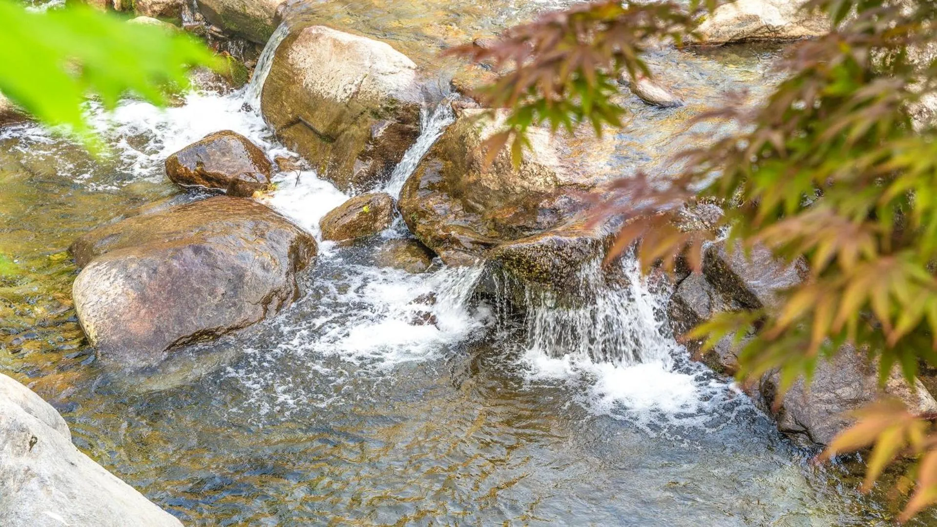 Property building in Gapyeong Yumyeongsan Gomone pet Camping