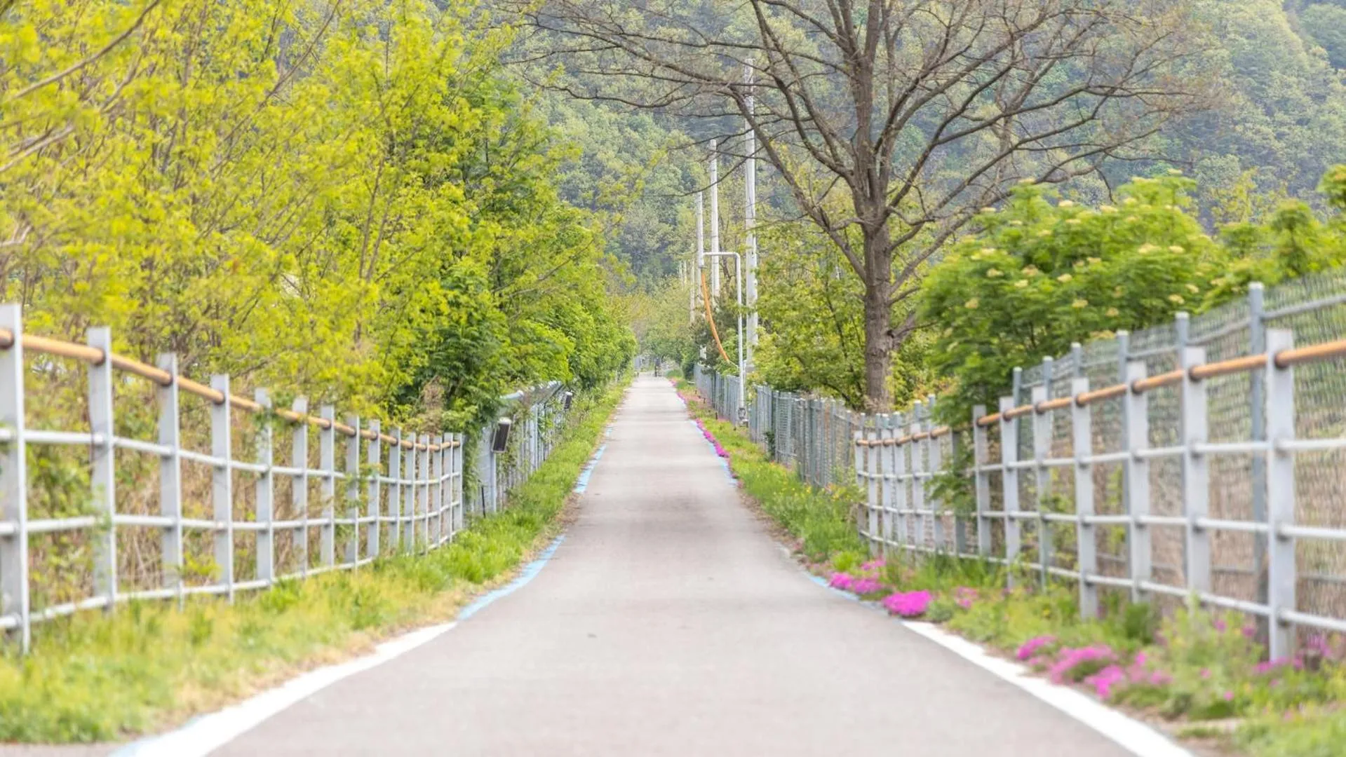 Property building in inje darani pet pension