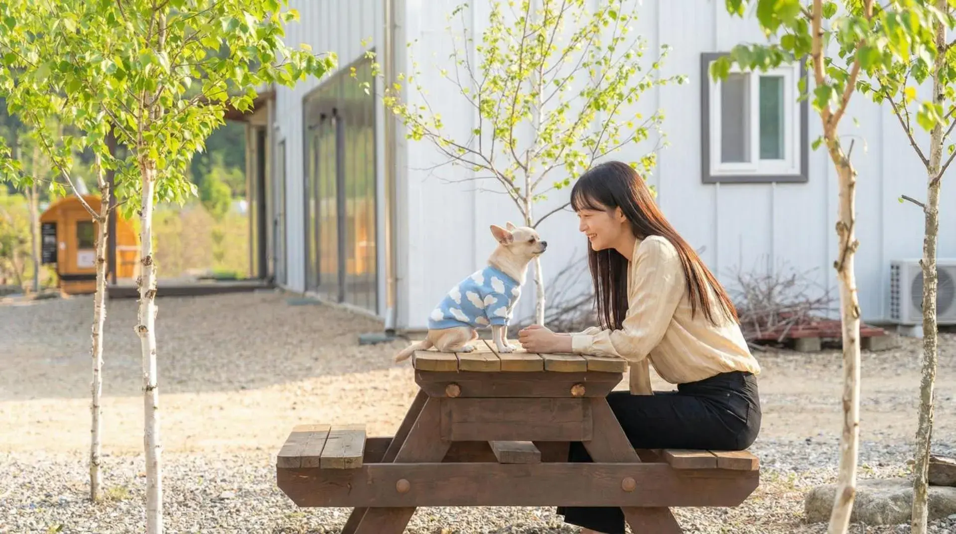 inje darani pet pension inje darani pet pension