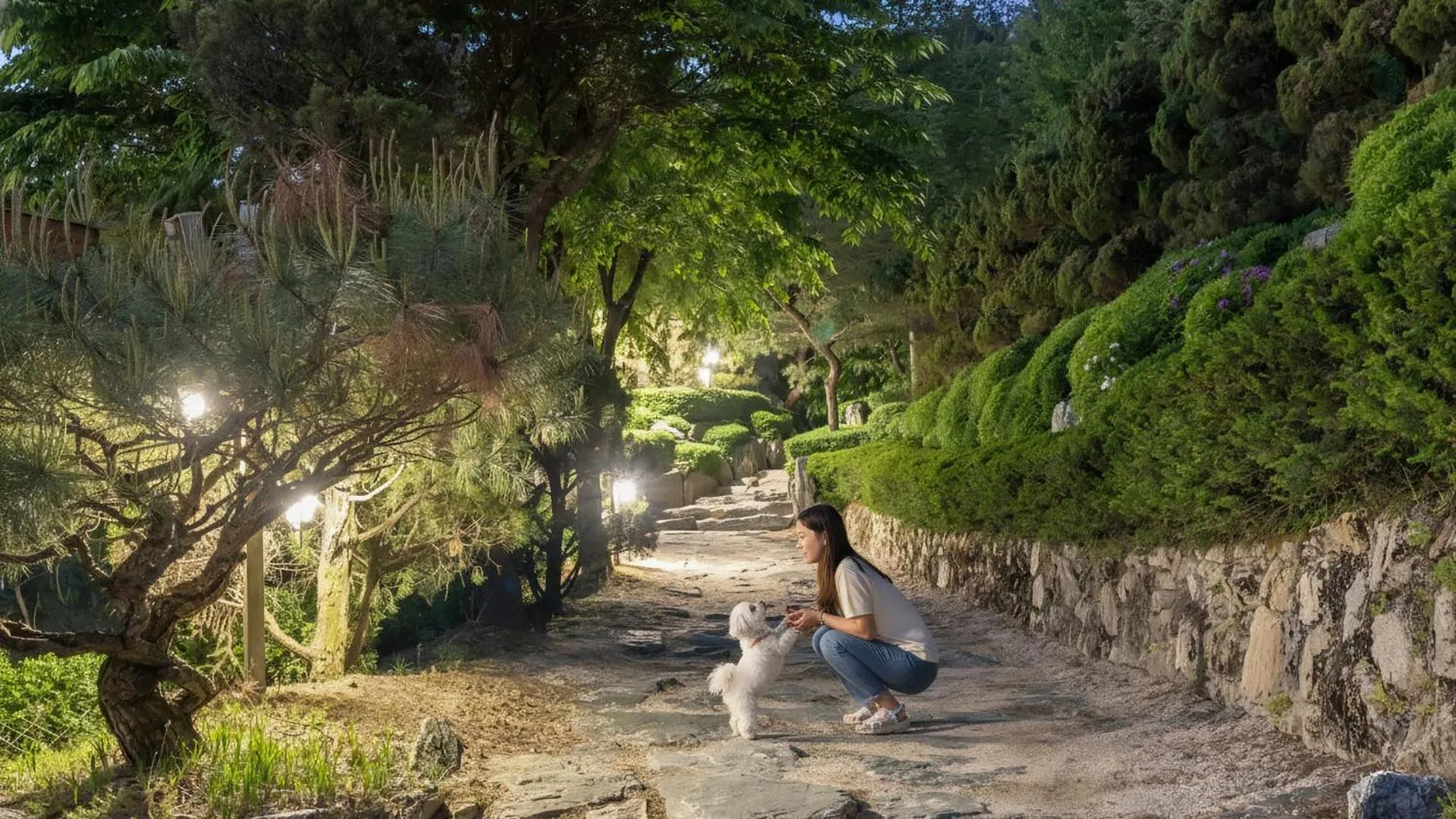 Property building in Pocheon luxjay pet Pension