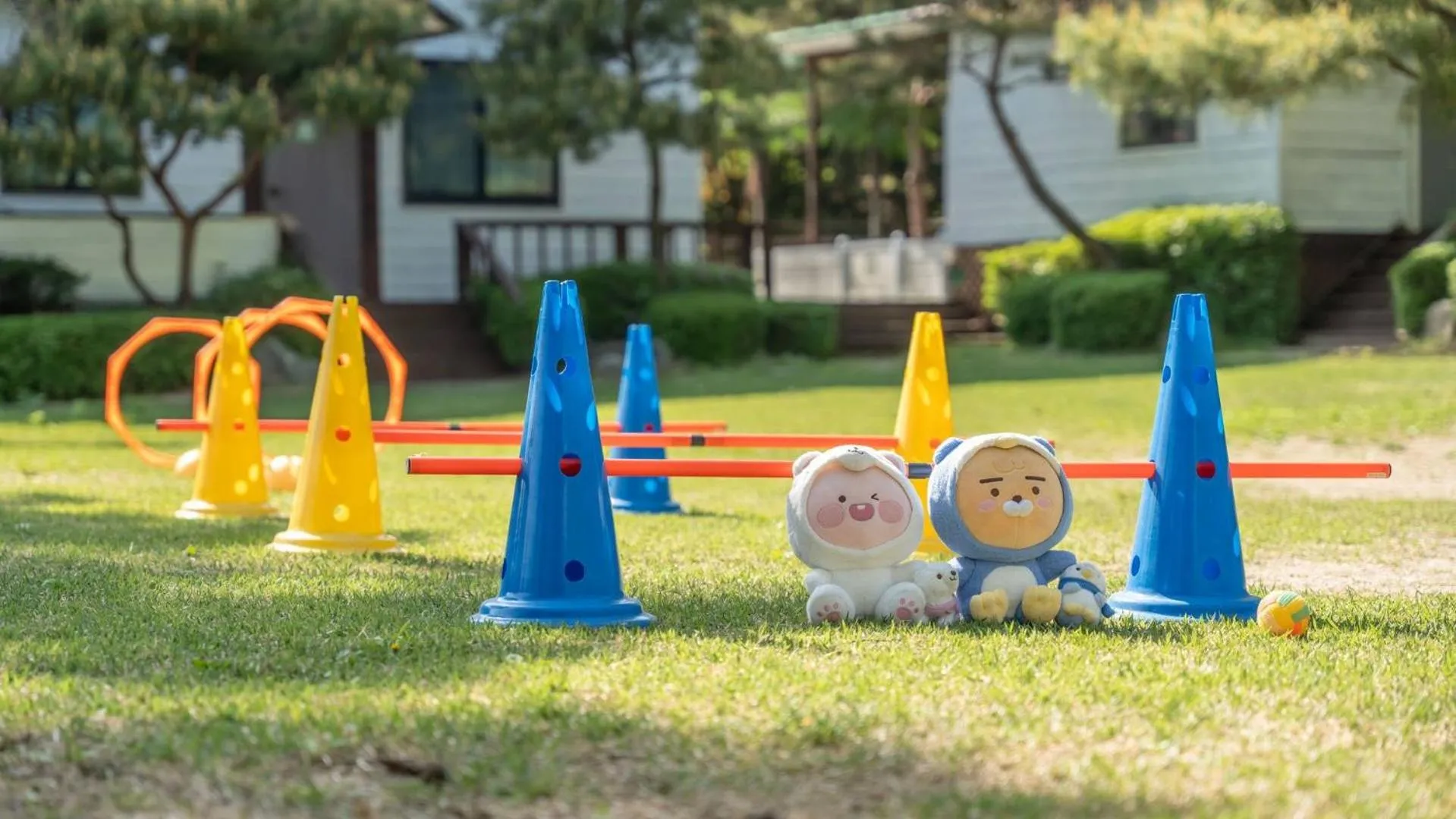 Property building in Pocheon luxjay pet Pension