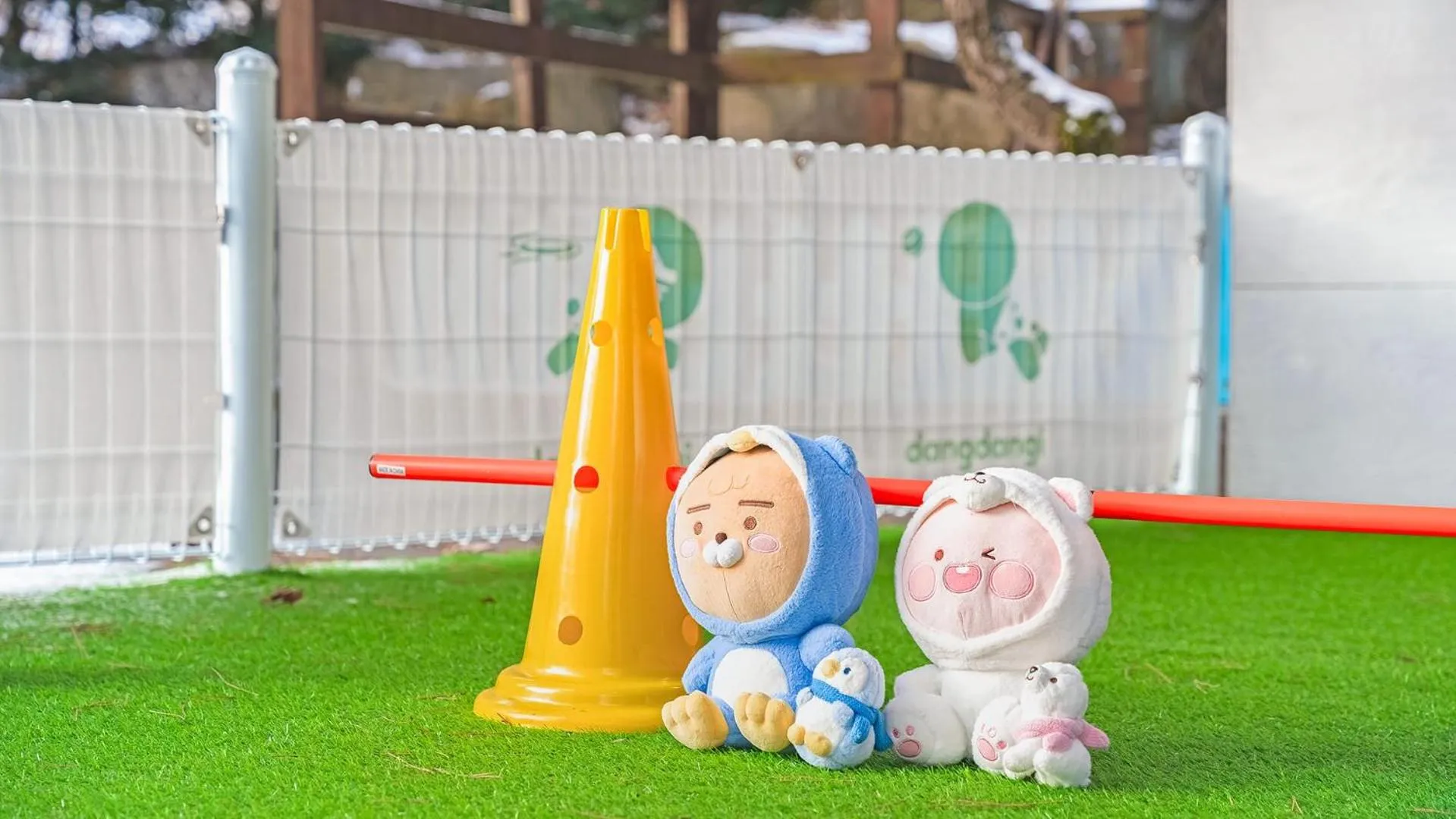 Property building in Pocheon luxjay pet Pension