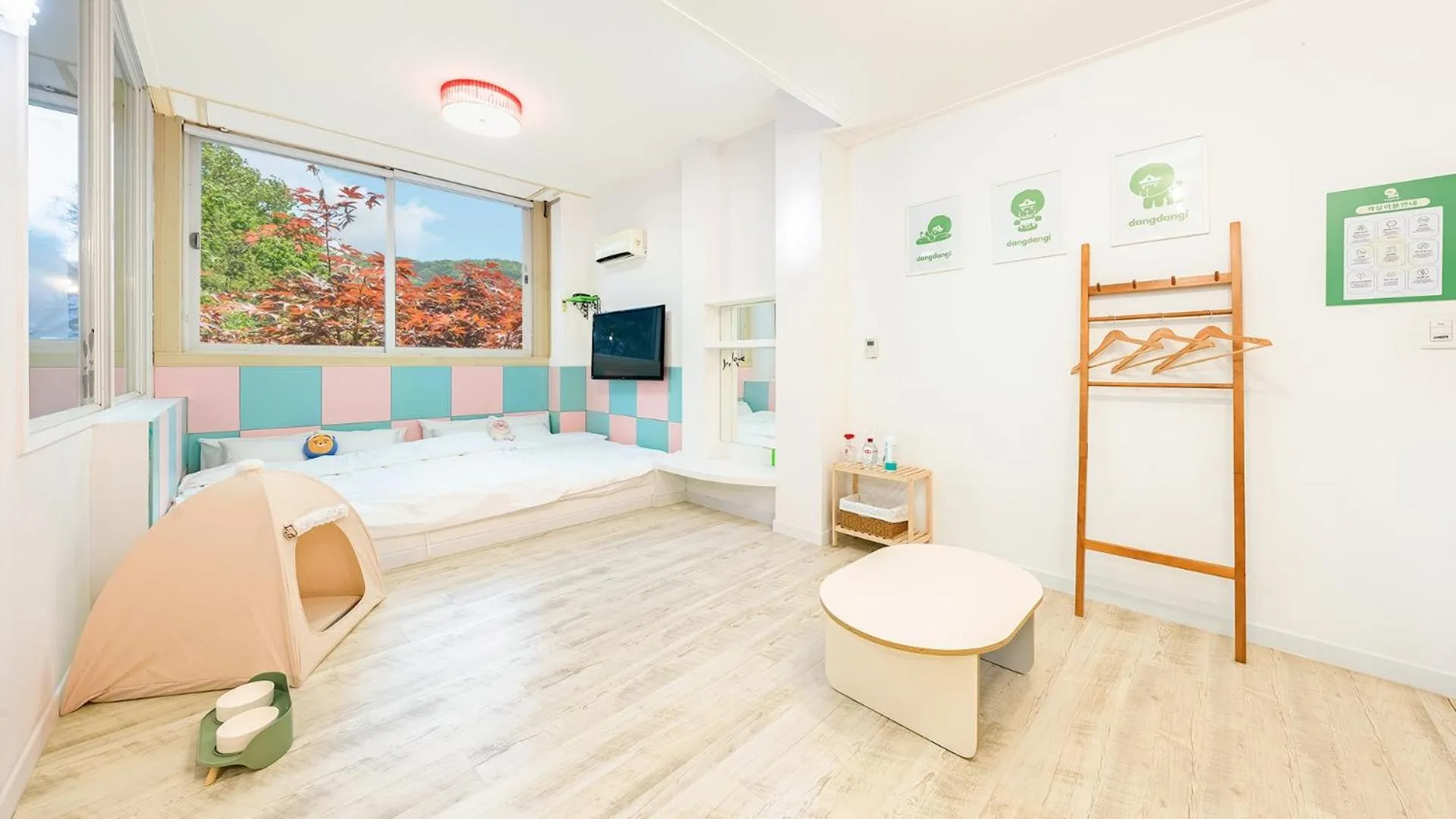 Pocheon luxjay pet Pension