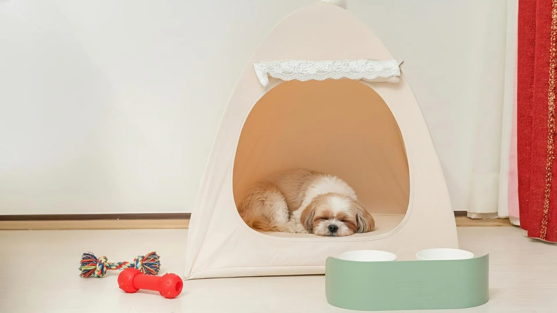 Property building in Pocheon luxjay pet Pension