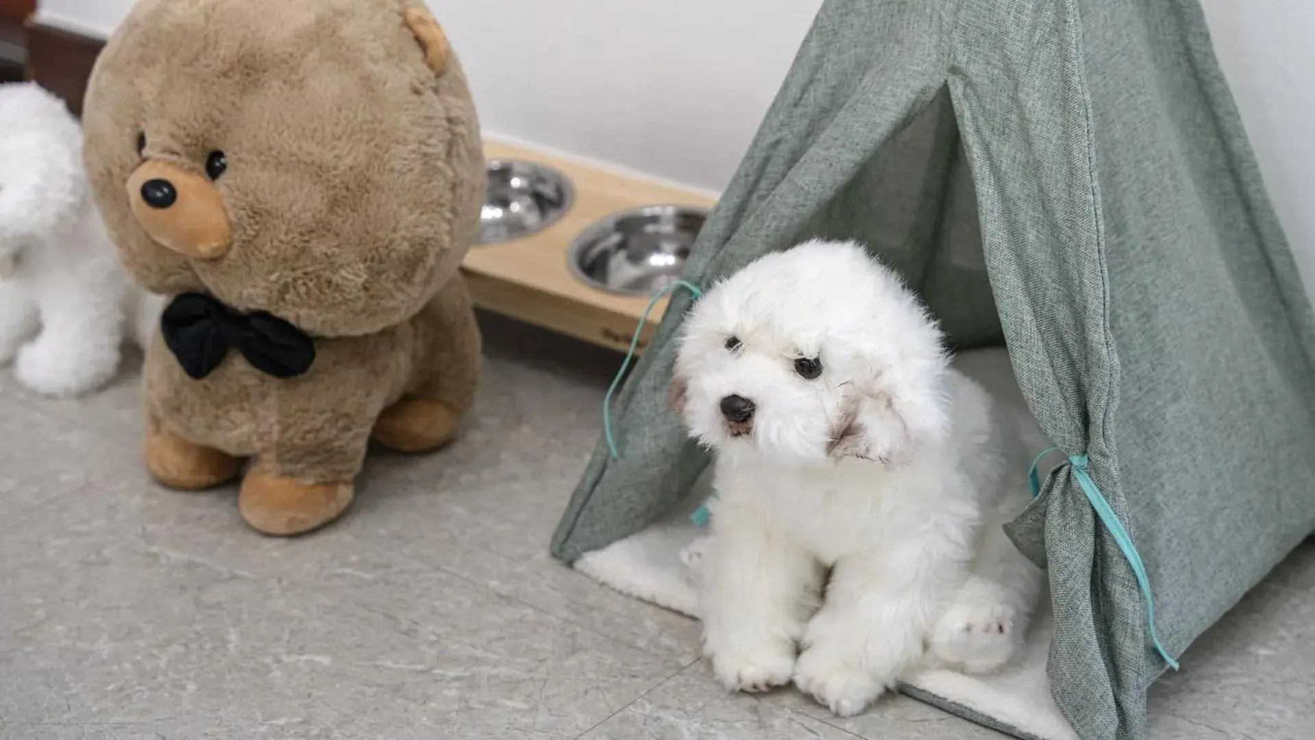 Property building in Chuncheon Dogandstay Property building in Chuncheon Dogandstay