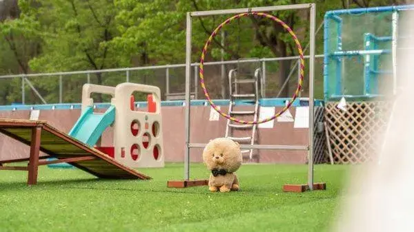 Property building in Chuncheon Dogandstay Property building in Chuncheon Dogandstay