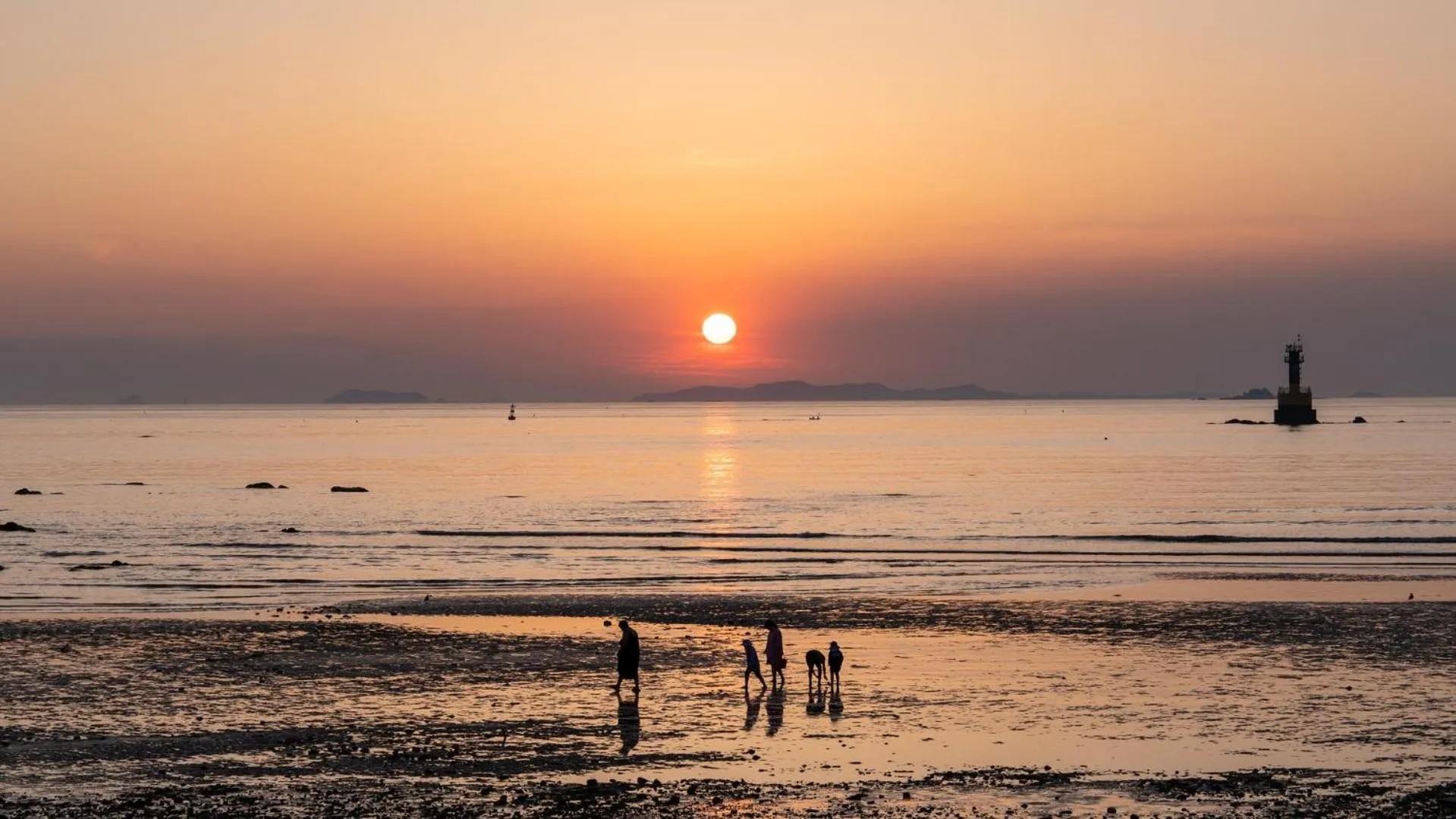 Property building in boryeong hiddenvillage dokchae poolvilla